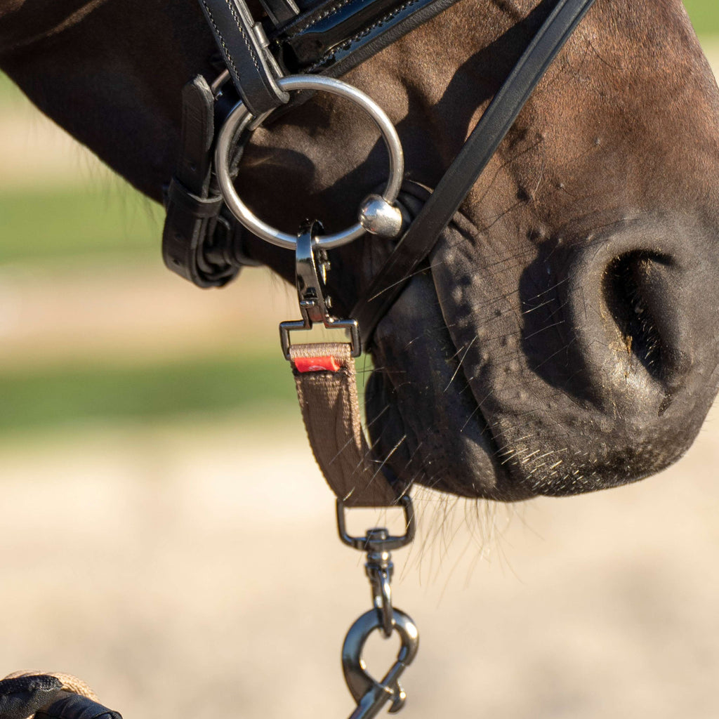 Imperial Riding Alliance de Mors pour la Longe IRH Cappuccino