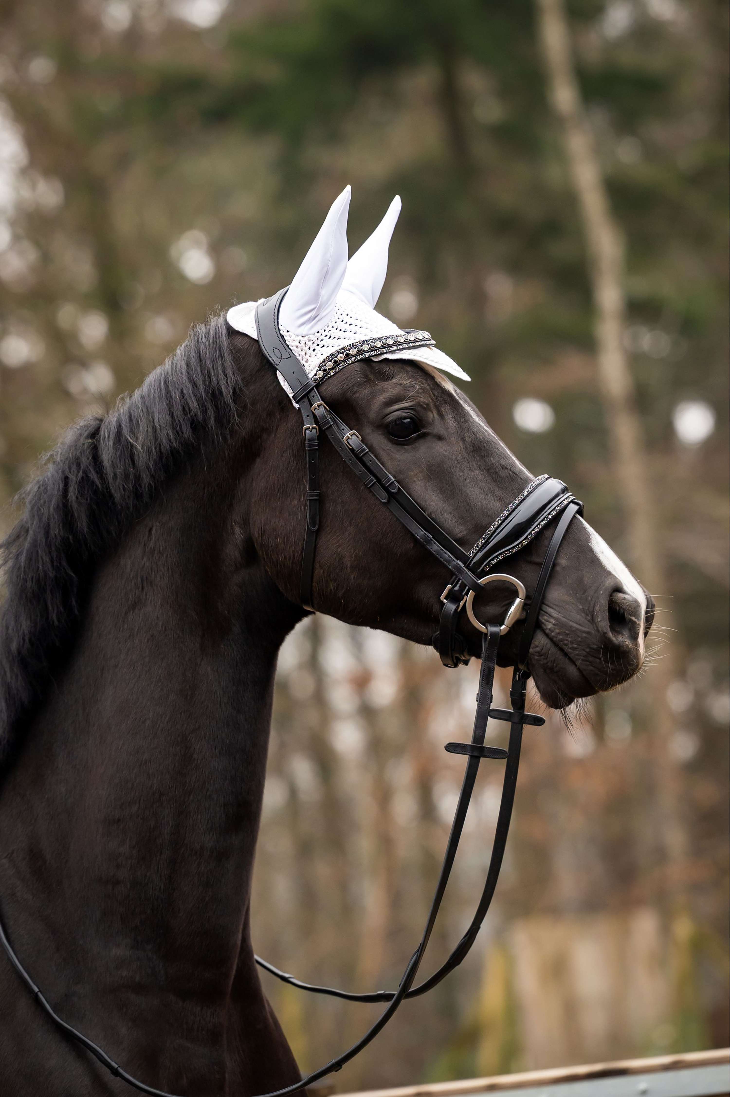 Showtime Bonnet Anti-Mouches Spring Argent