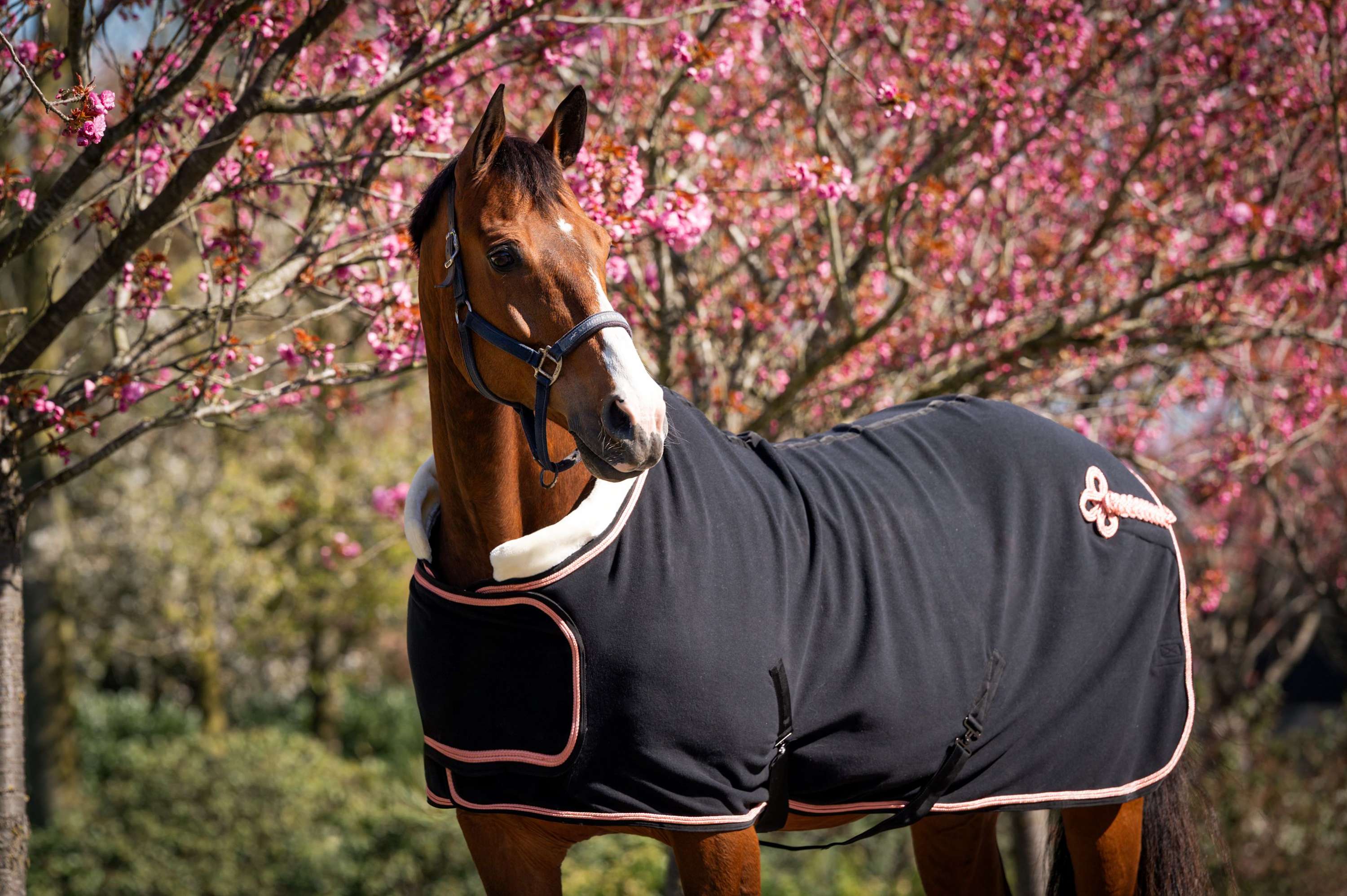 HB Couverture de Concours Showtime Rose Gold Noir