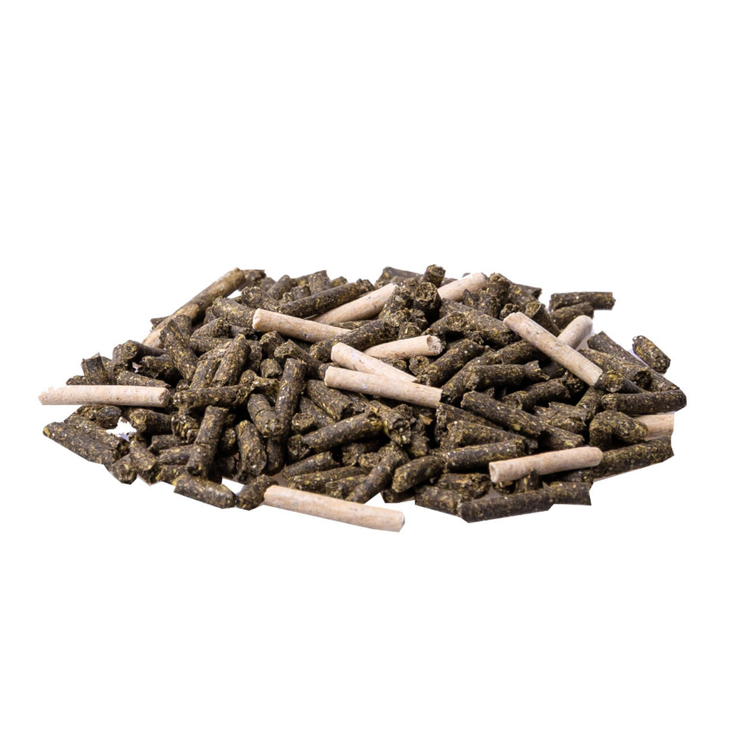 Pavo Complément Alimentaire E'lyte Poche