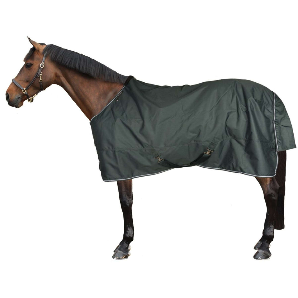 EQUITHÈME Couverture d'Extérieur Tyrex 600D Standard 300g Vert