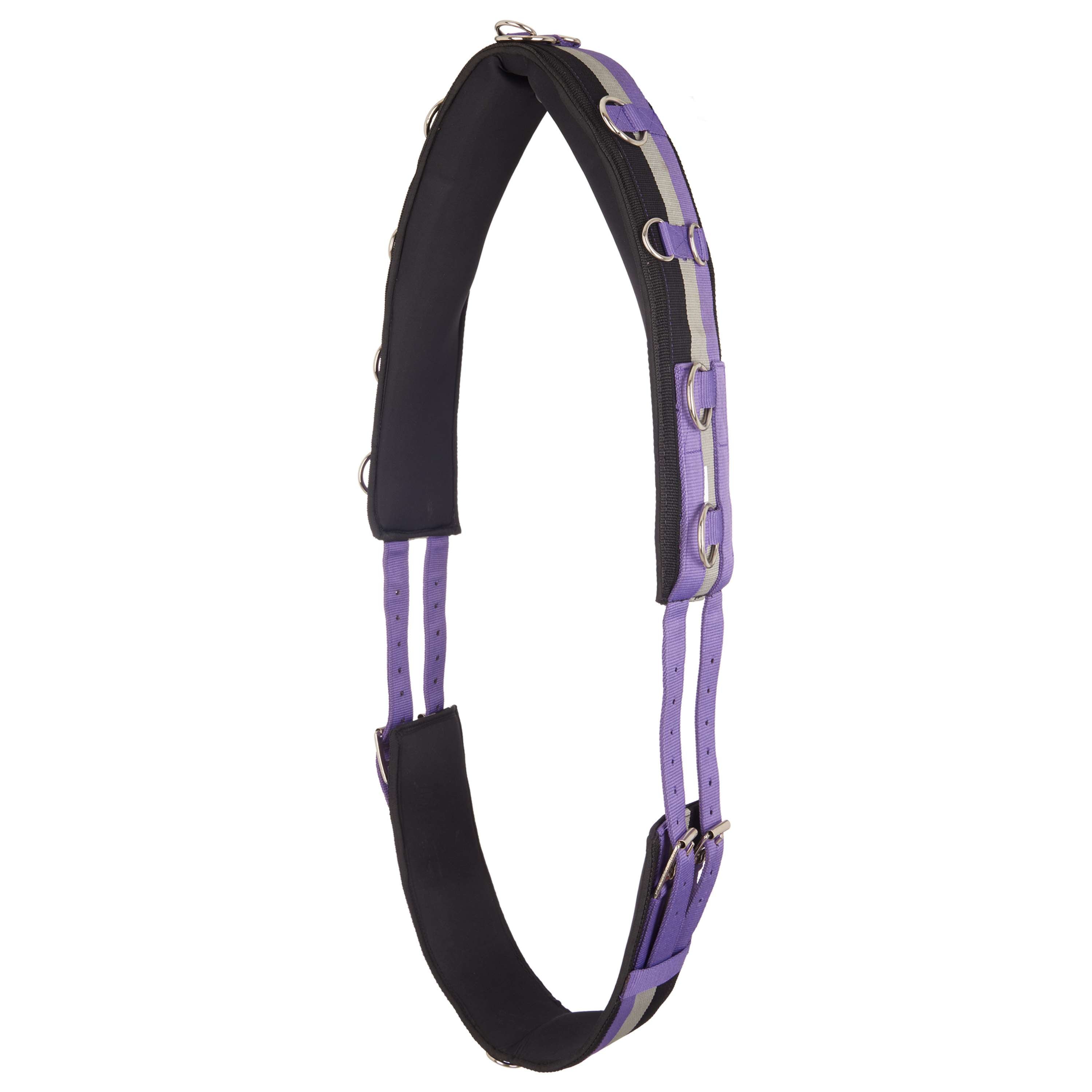 Imperial Riding Surfaix de Longe IRHDeluxe Violet Royal
