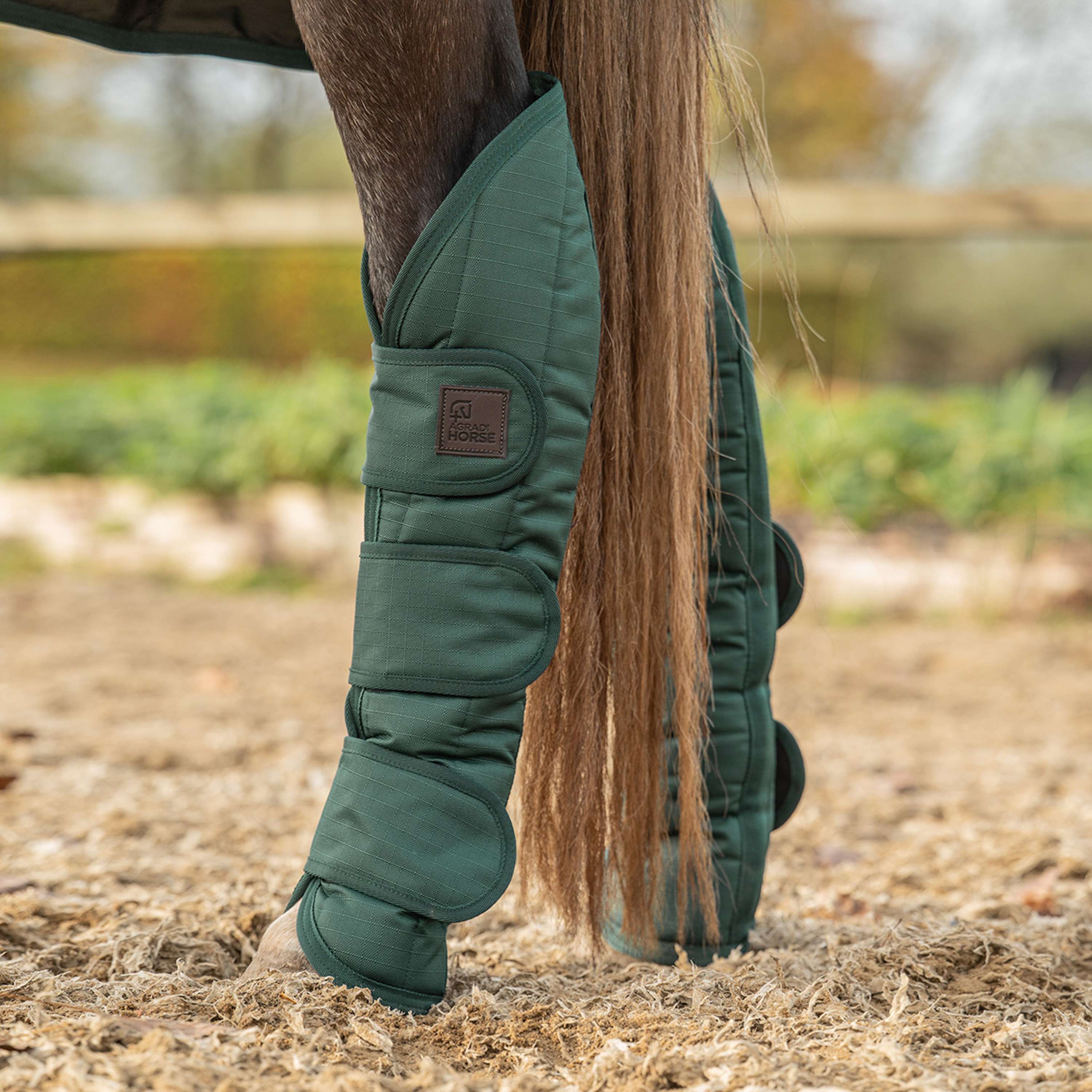 Agradi Horse Guêtres de Transport 1200D Vert