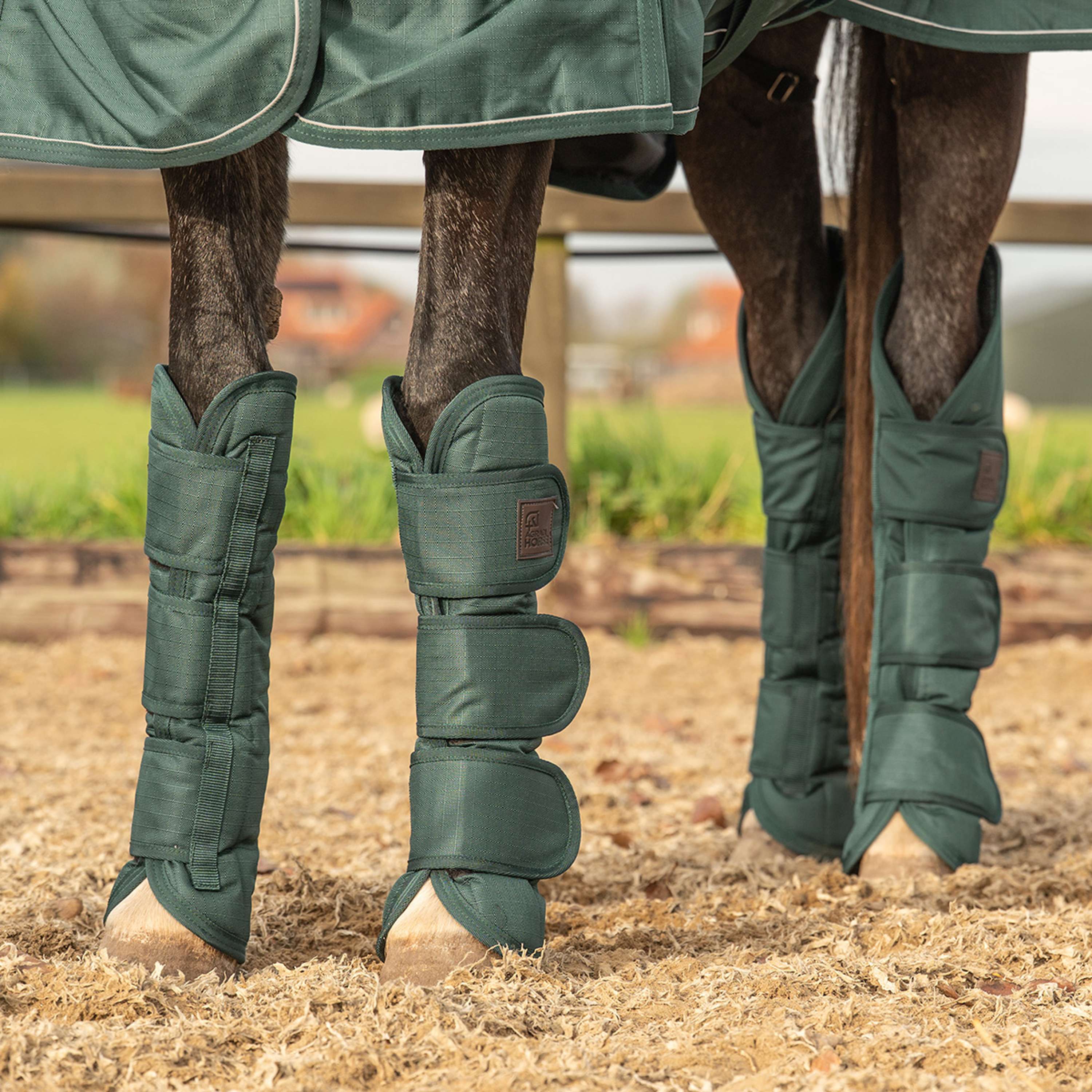 Agradi Horse Guêtres de Transport 1200D Vert