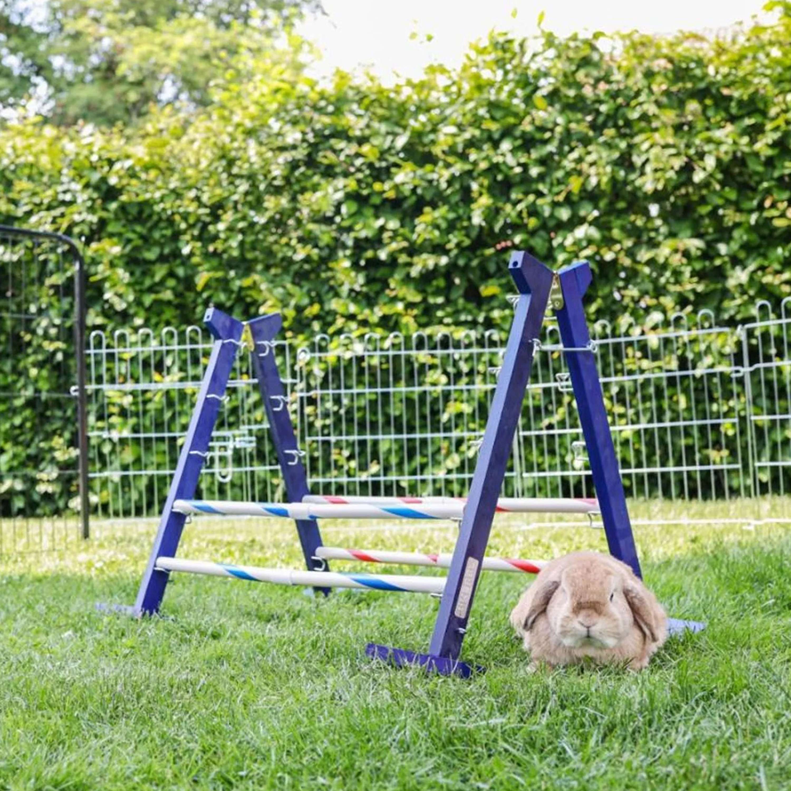 Kerbl Obstacle combiné Agility 2