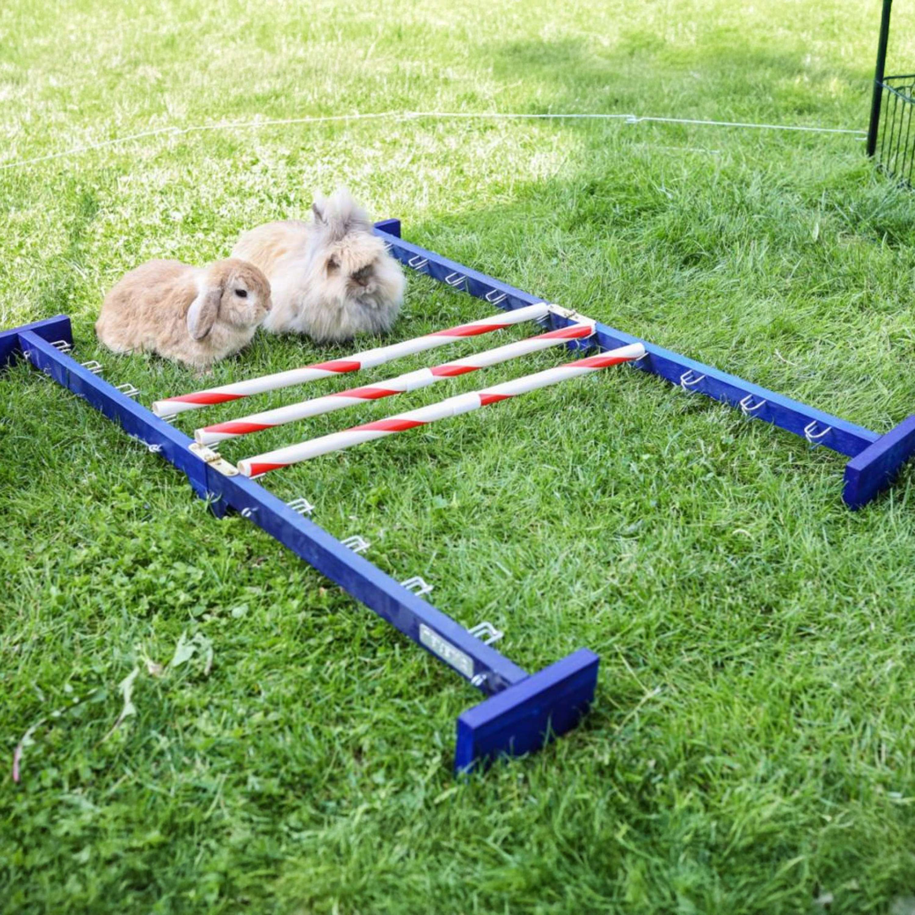 Kerbl Obstacle combiné Agility 2