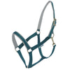 Bucas Licol Dublin Poulain Atlantique/Argent