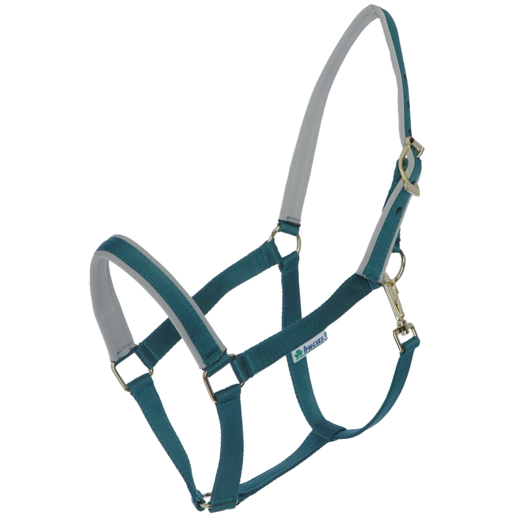 Bucas Licol Dublin Poulain Atlantique/Argent