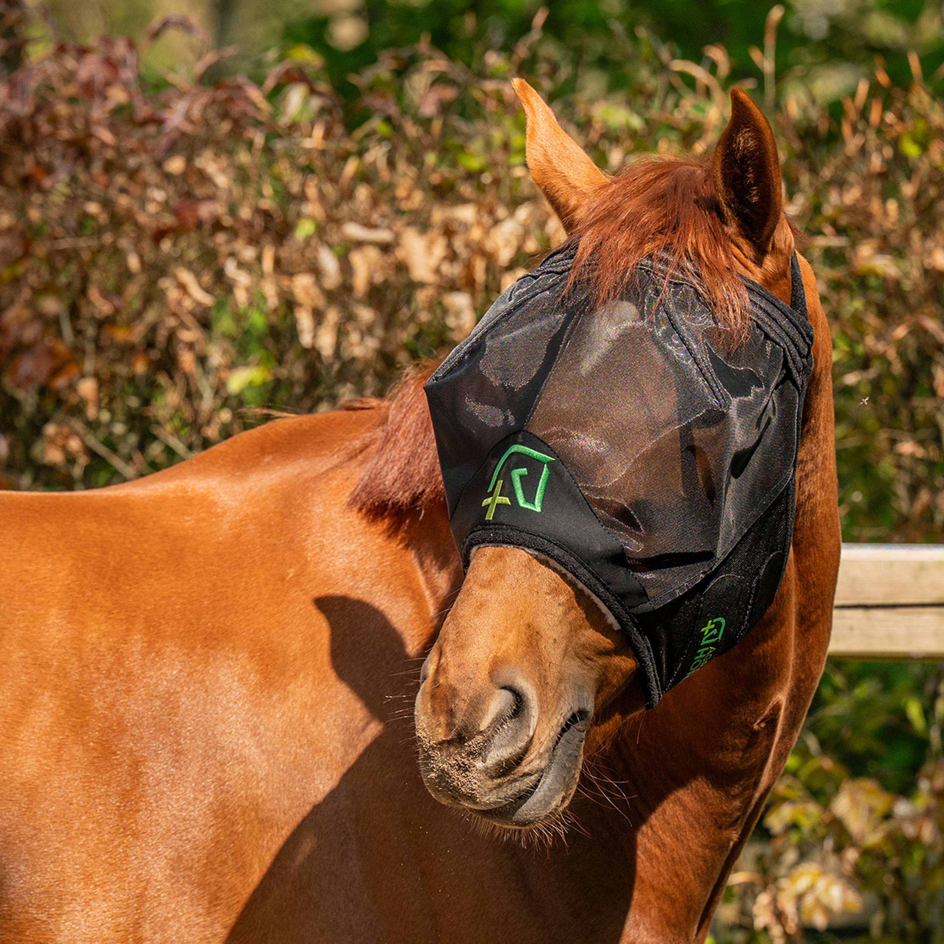 Agradi Horse Masque Anti-Mouches Fine Mesh sans Oreilles Noir