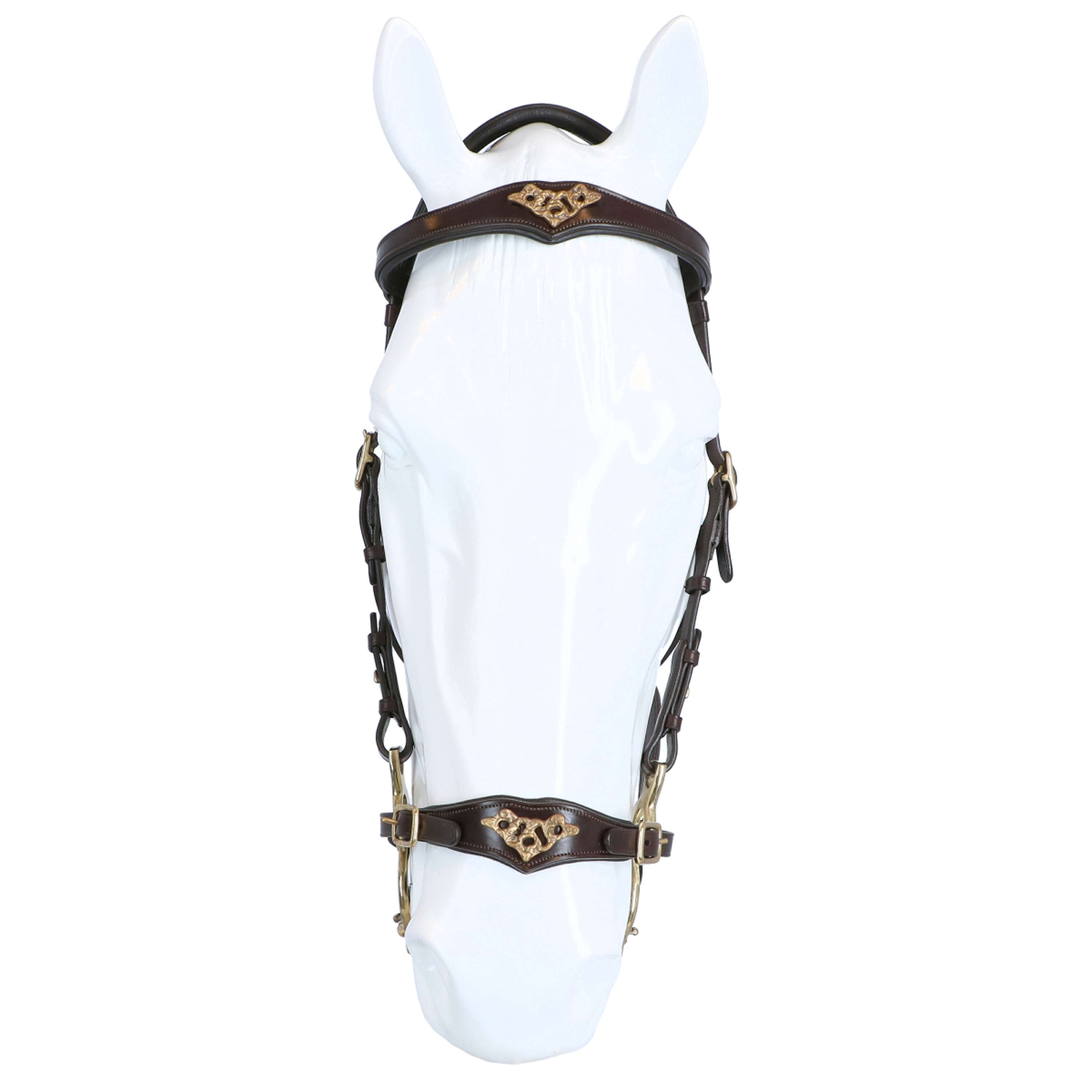 F.R.A. Hackamore Imperial Rênes en Cuir Souple Havane