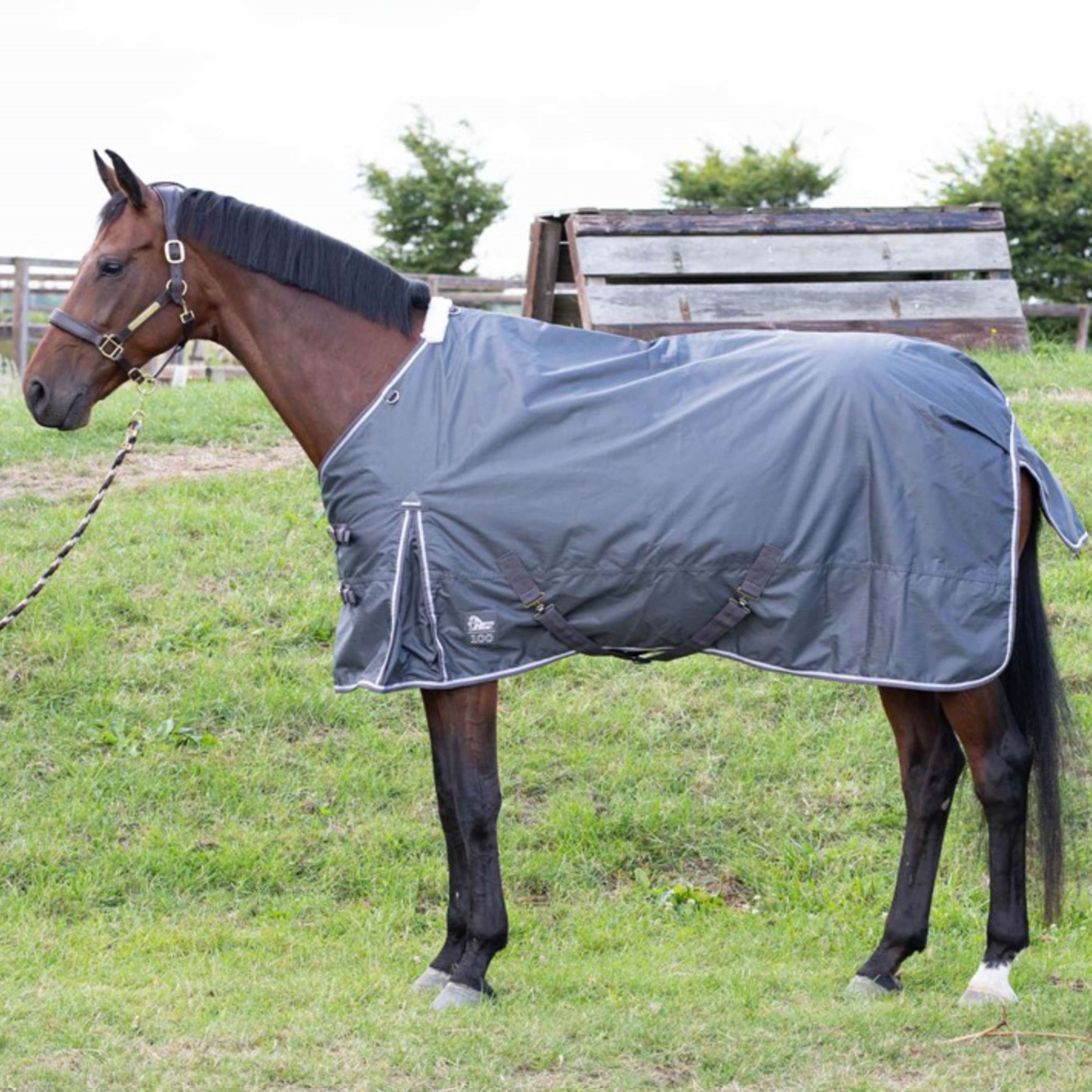 Harry's Horse Couverture d'Extérieur Thor 100g Ébène