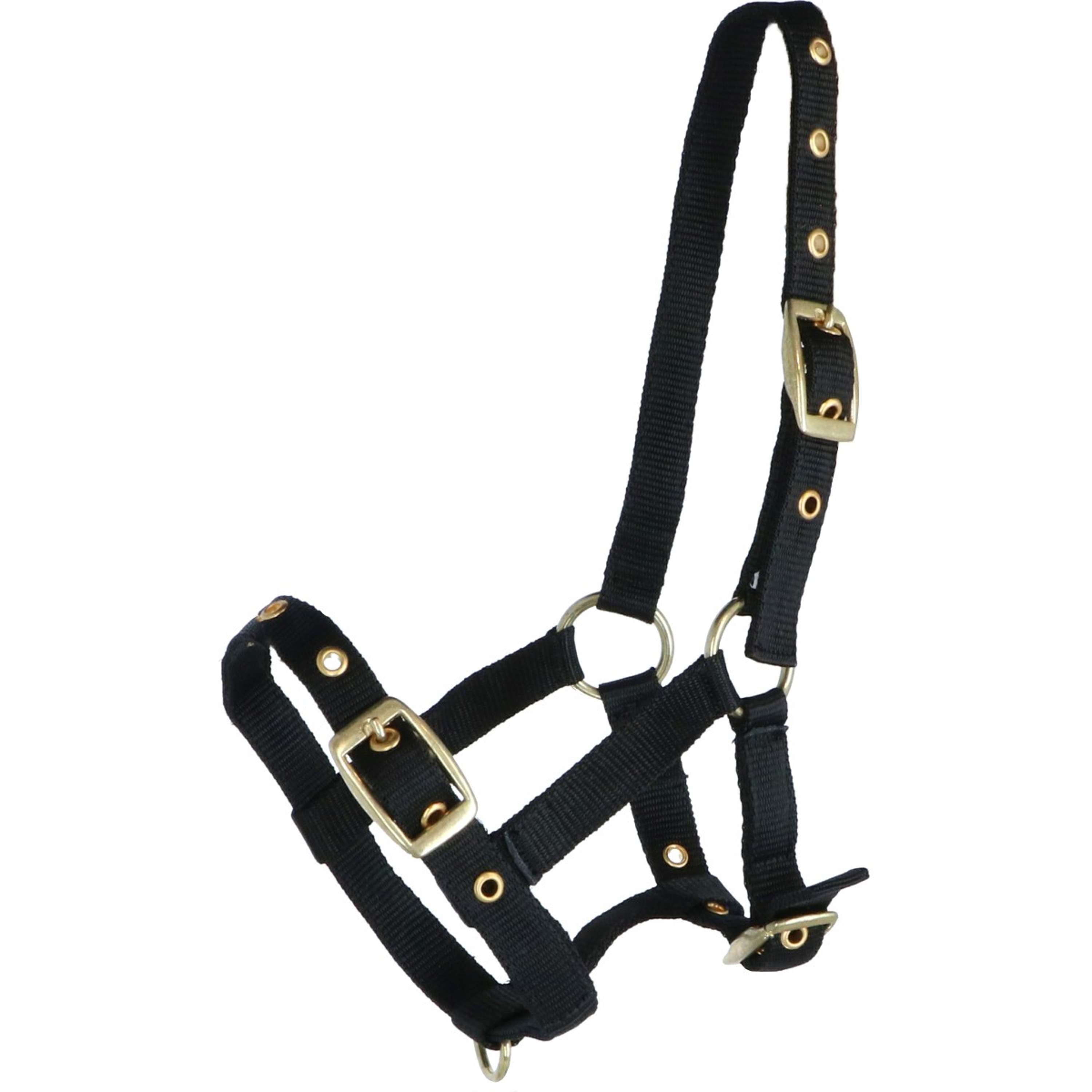 HB Licol pour Poulain Nylon Noir