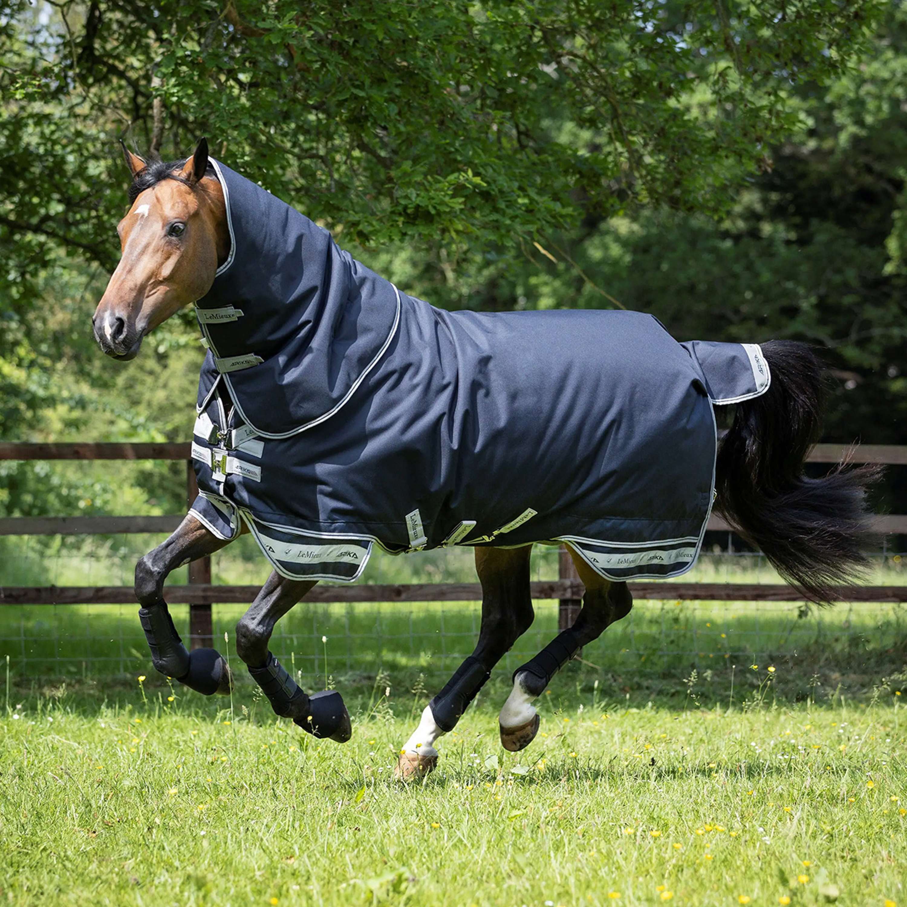 LeMieux Couverture Arika Storm-Tek 2 Turnout 100g Marin