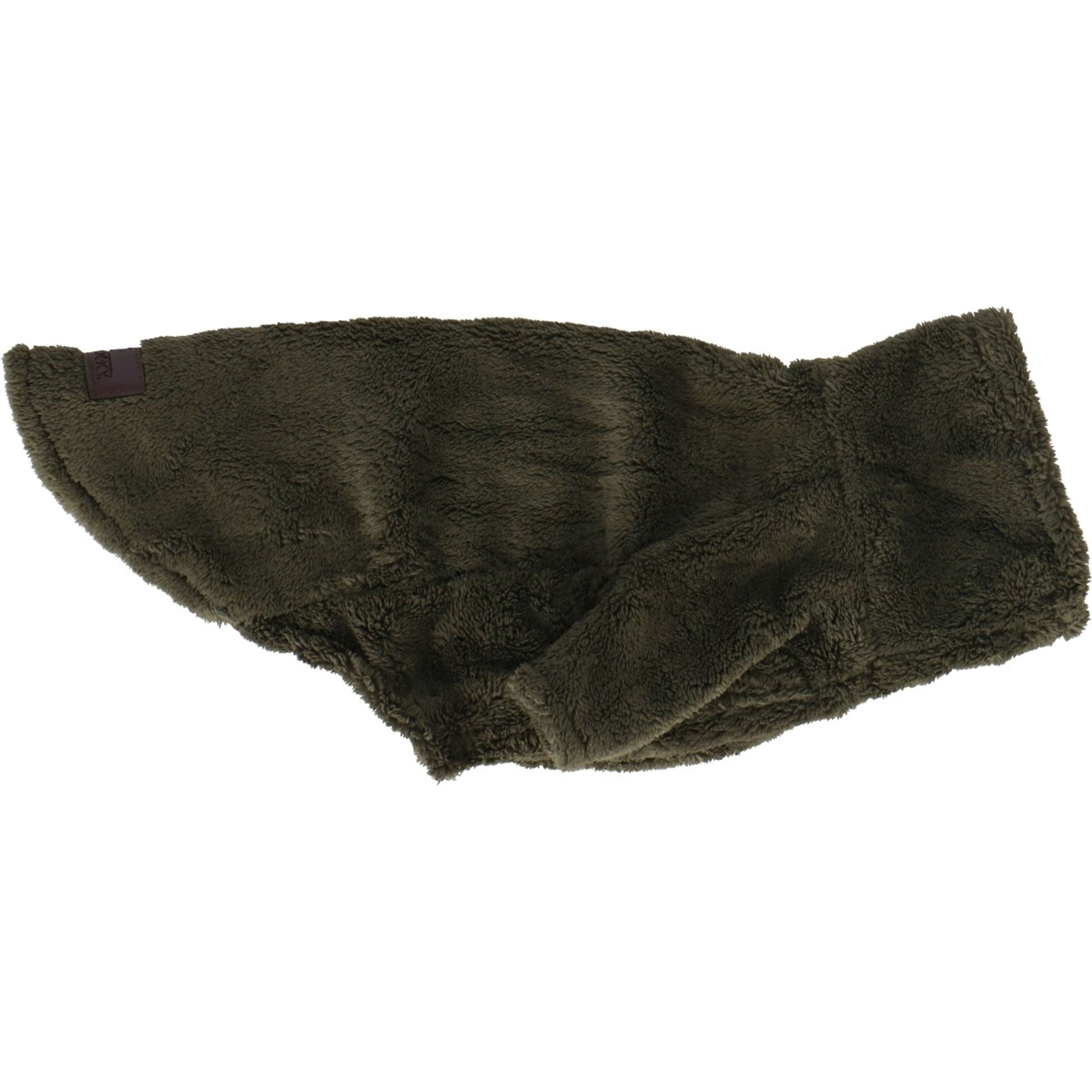 Kentucky Pull Chien Teddy Fleece Pine Green