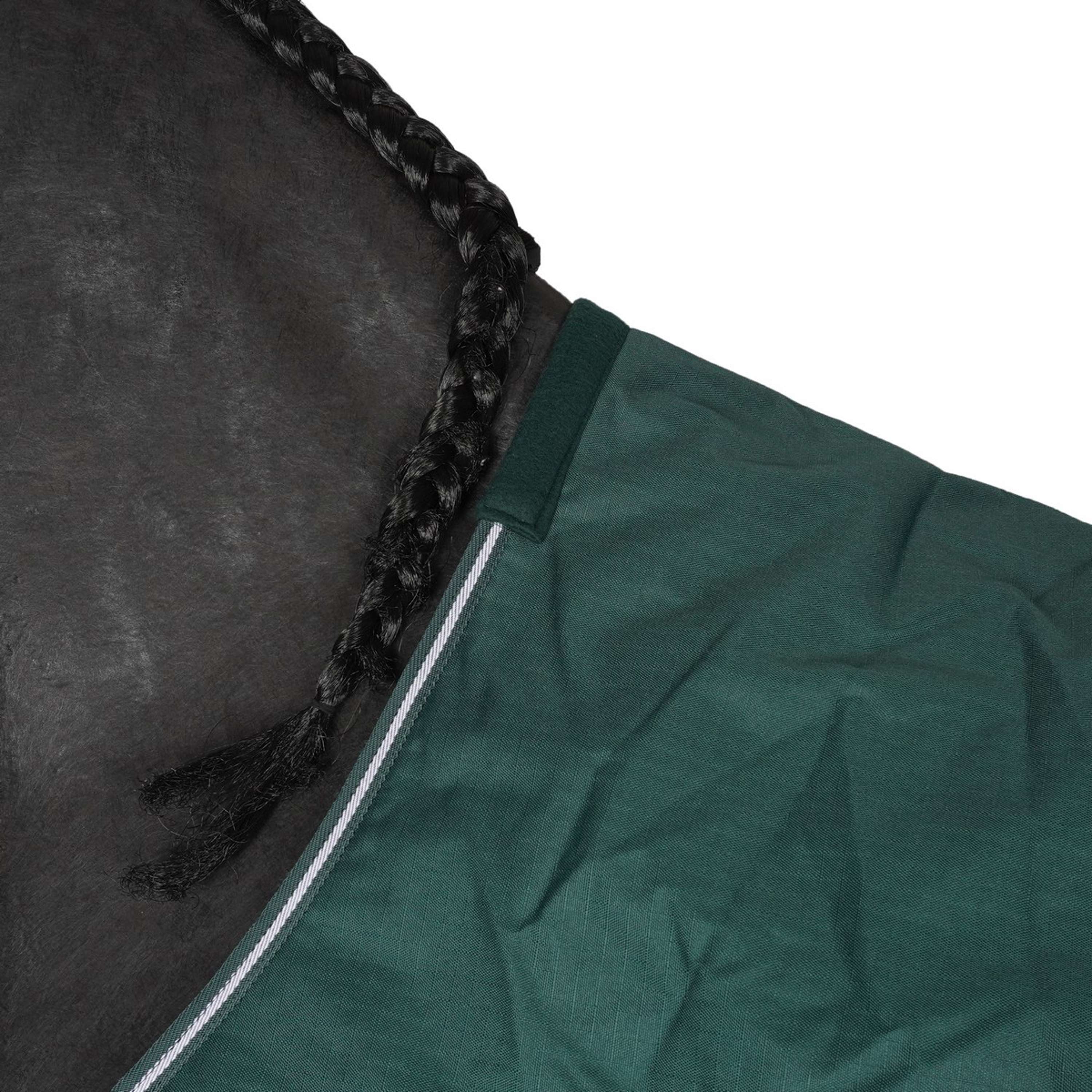 Waldhausen Chemise de Marcheur 100g Fir Green