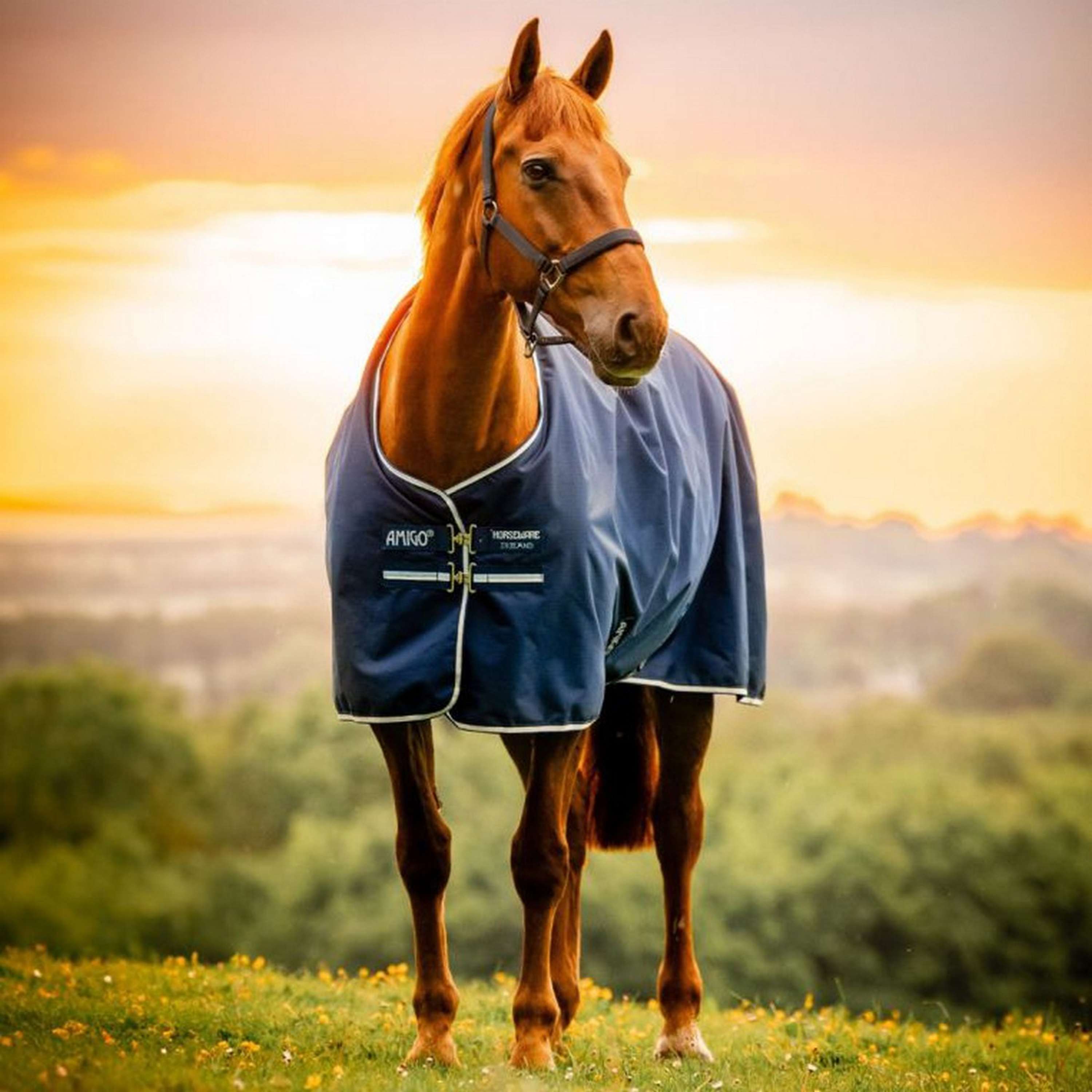 Amigo Ripstop 900D Fleece Lined 50g Witney Navy