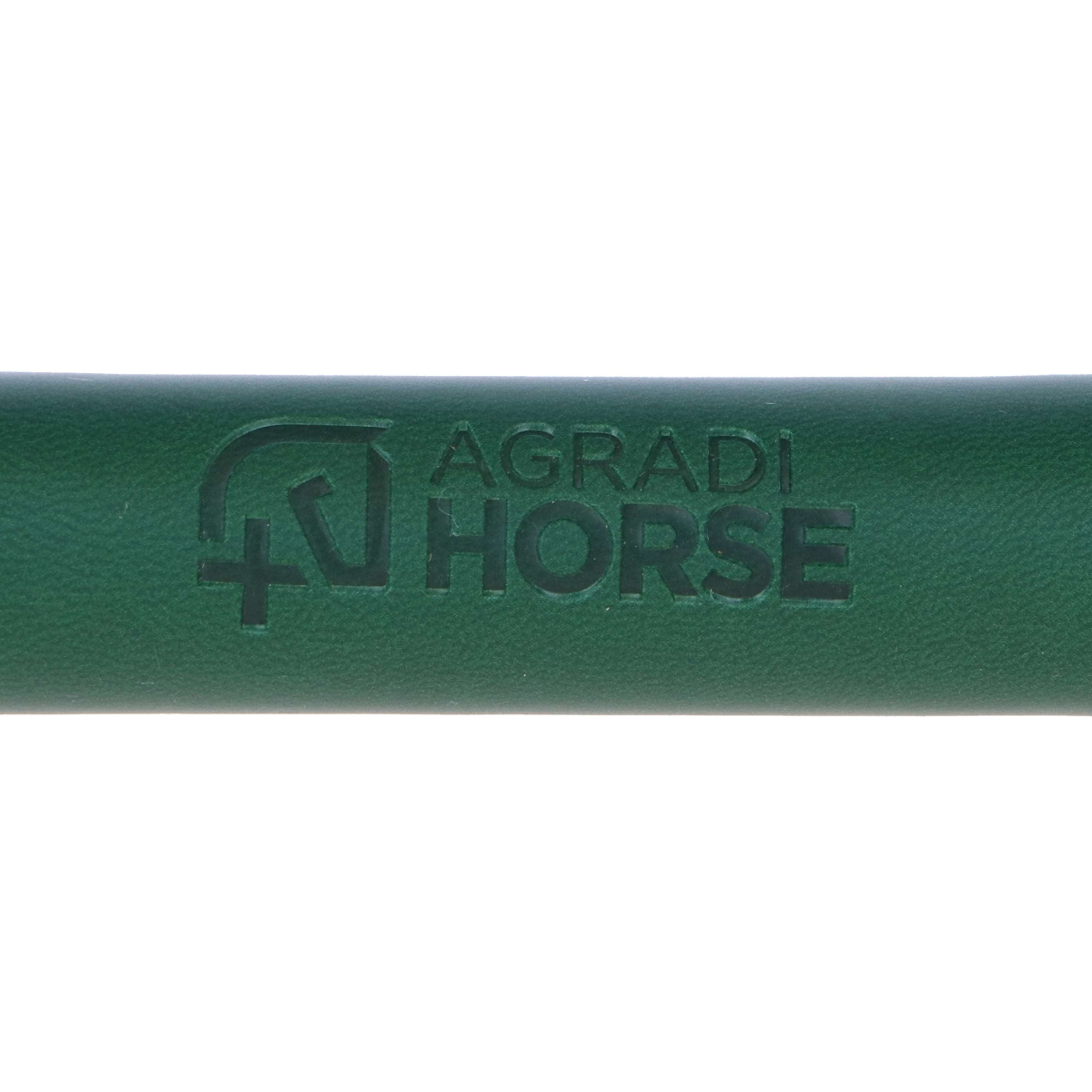 Agradi Horse Brosse pour Queue et Crinière Fir Green
