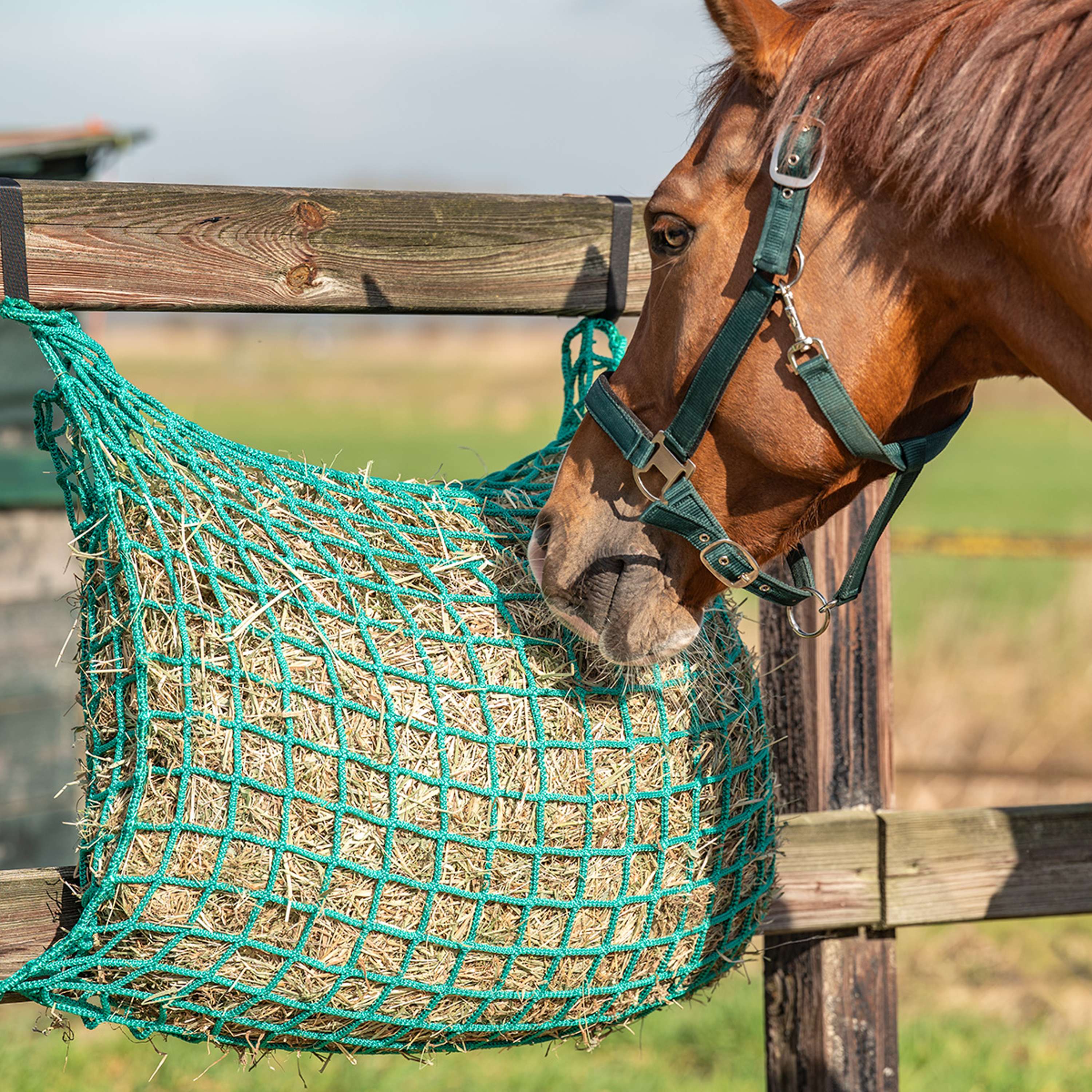 Agradi Horse Filet à Foin Flexi Strong Maille 4,5 x 4,5 cm Vert