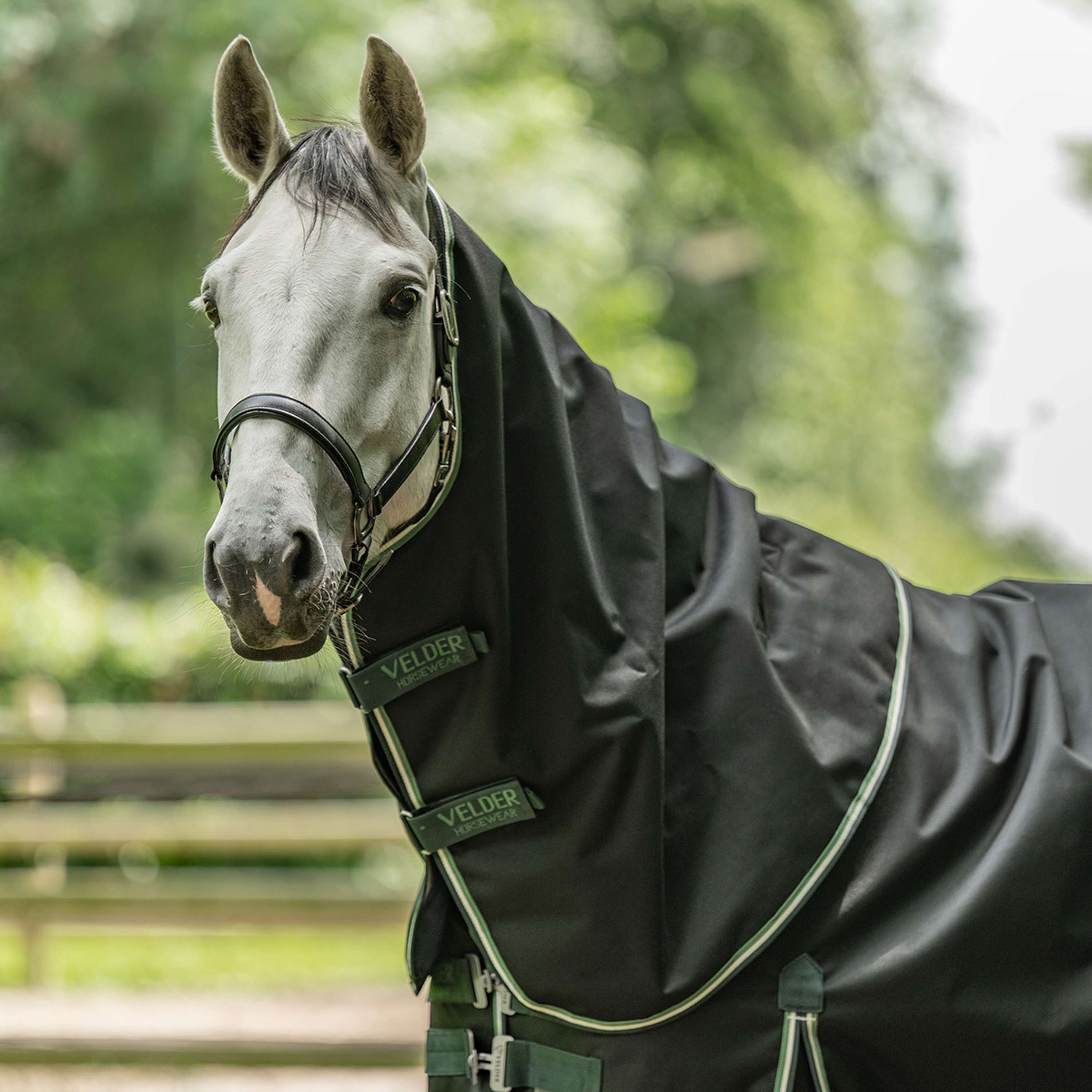 Velder Horsewear Premium Couvre-Cou Turnout 100g Night Forest