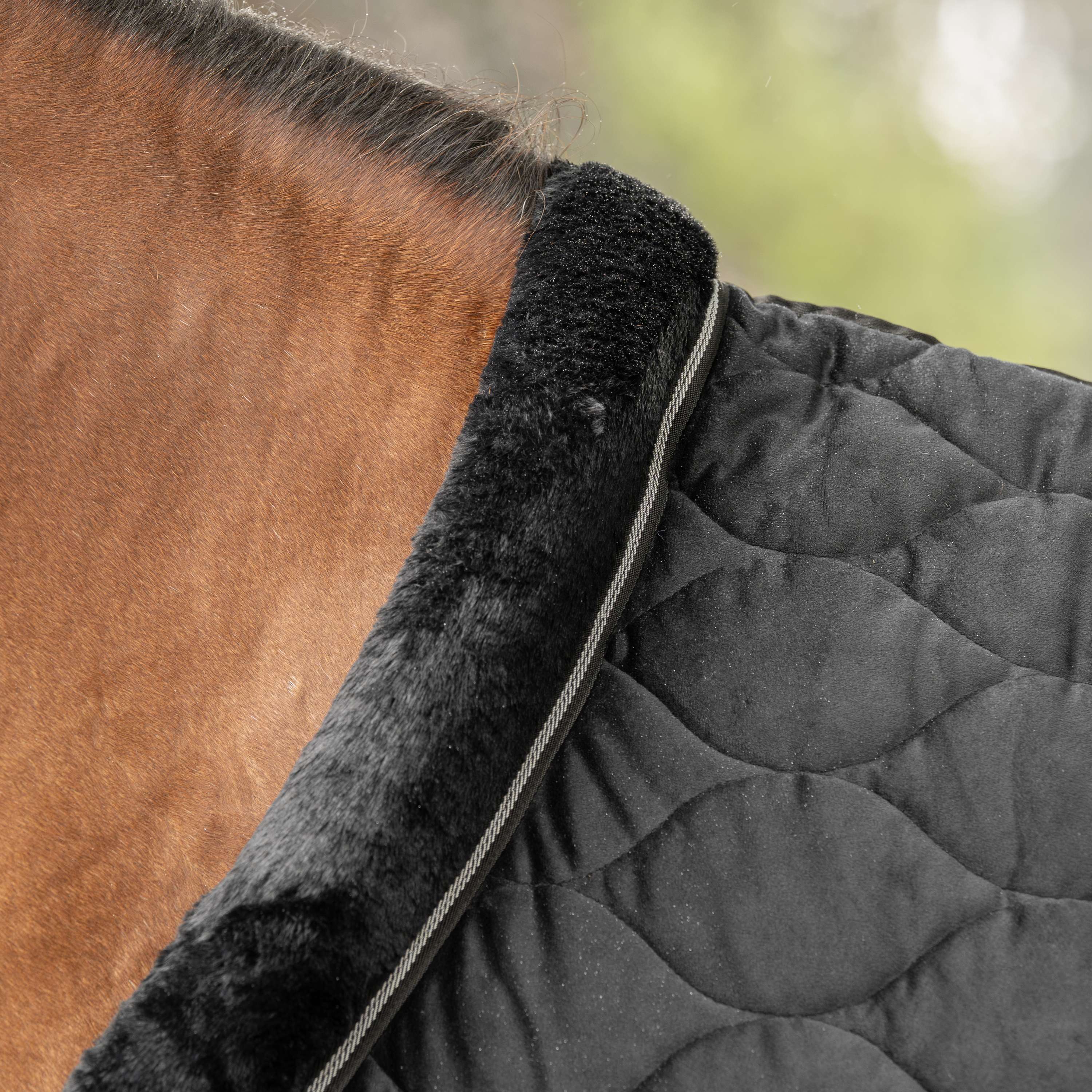 Velder Horsewear Premium Couverture de Concours Satin Glow Black Night
