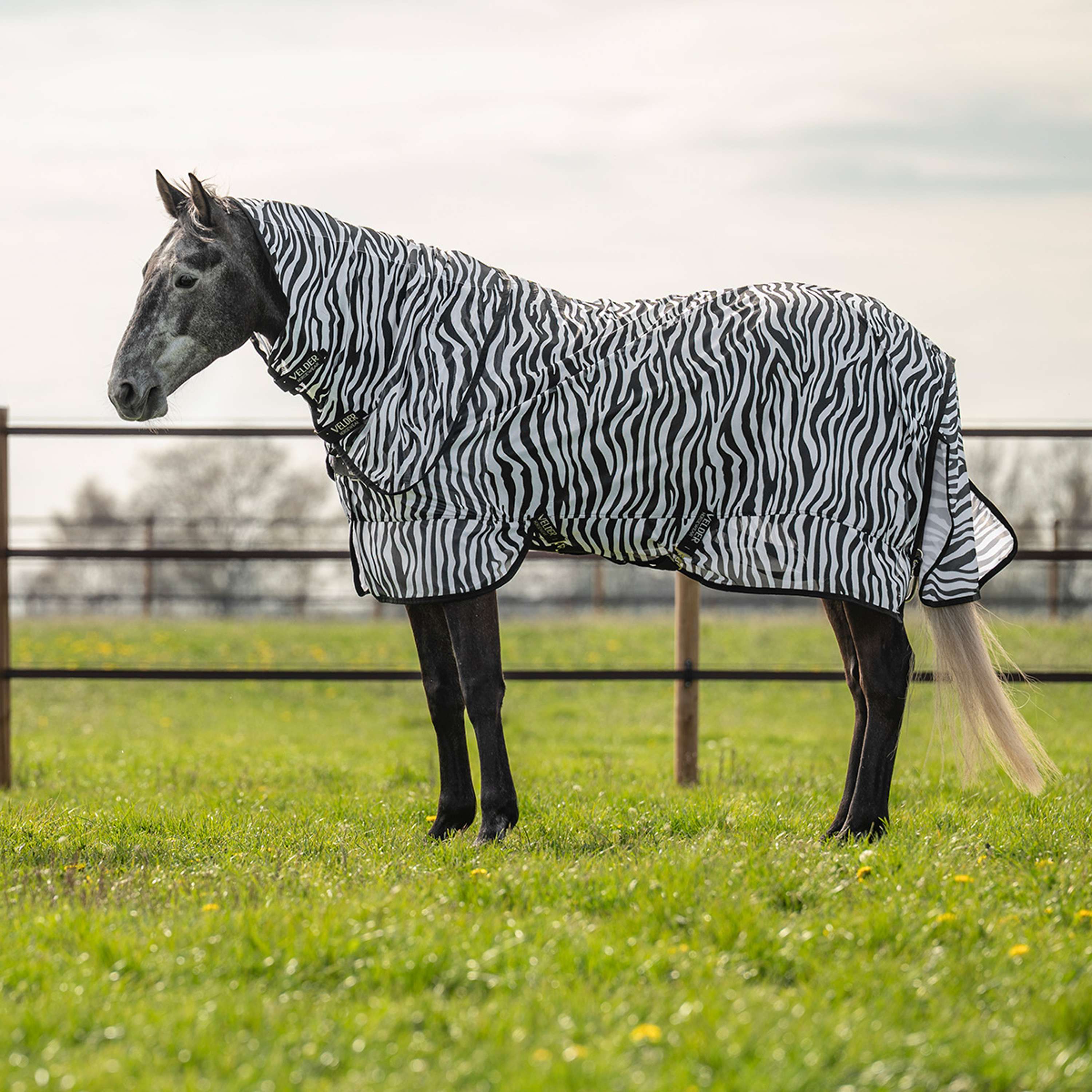 Velder Horsewear Essentials Couverture Anti-Mouches avec Couvre-cou Zebra Noir/Blanc