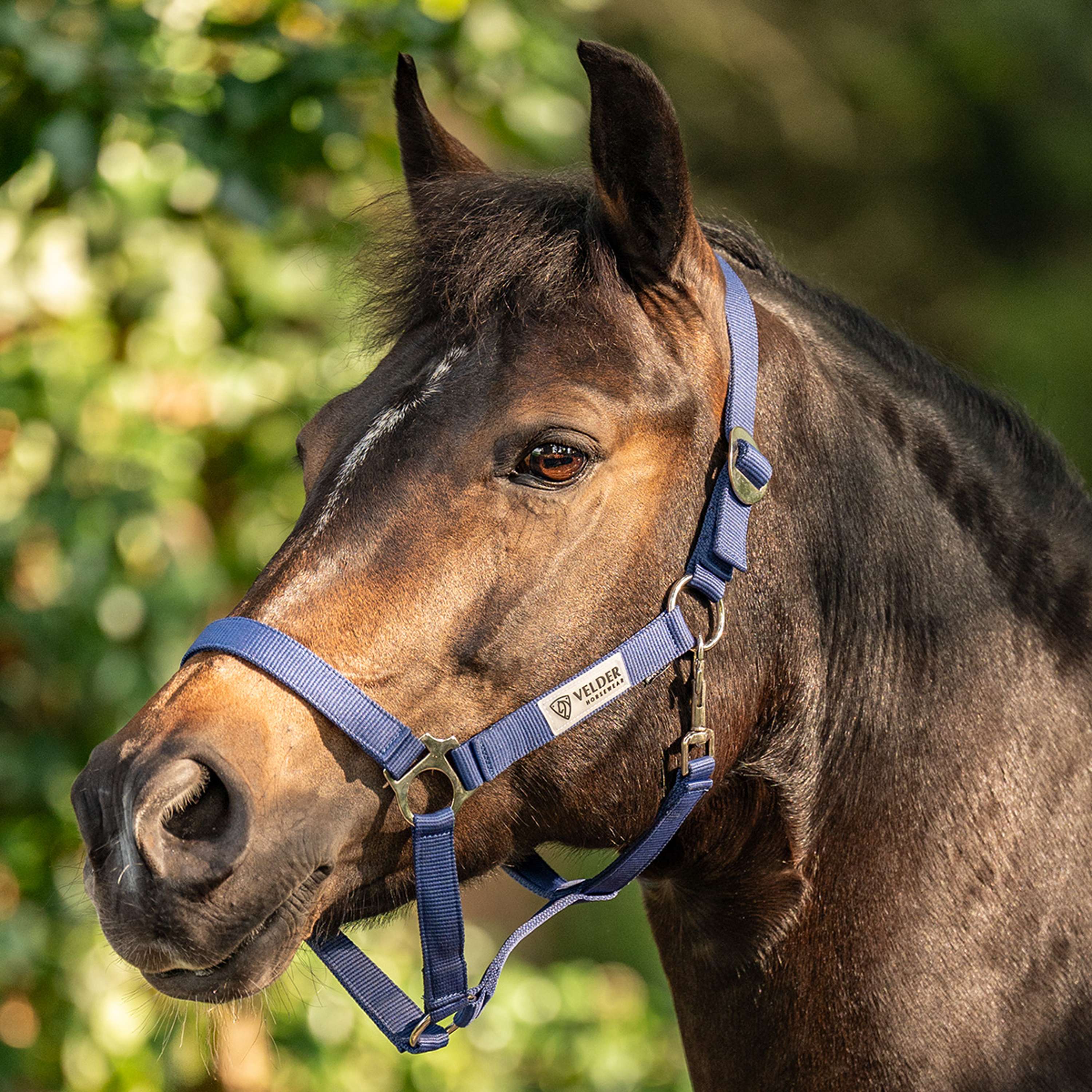Velder Horsewear Essentials Licol Basic Marin