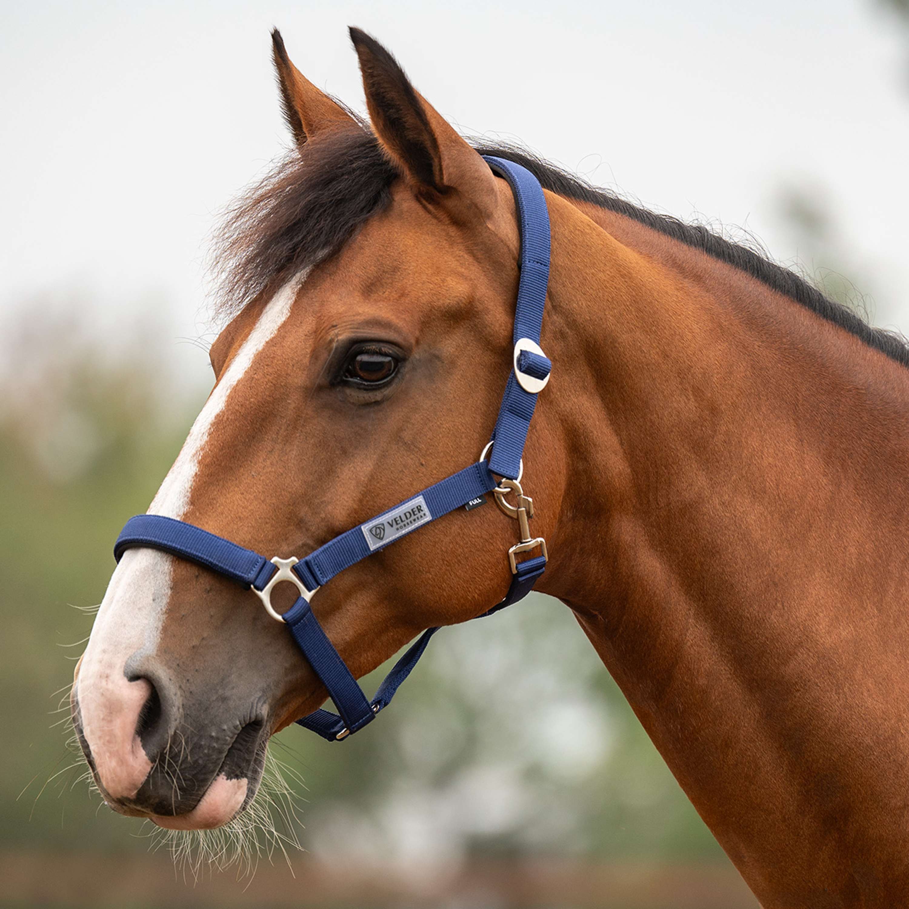 Velder Horsewear Essentials Licol Basic Padded Marin