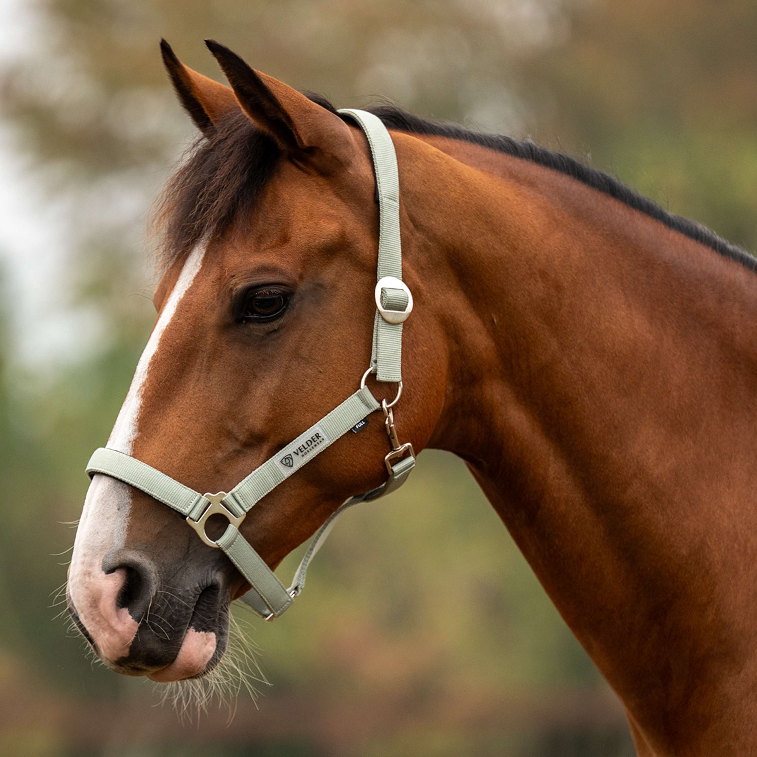 Velder Horsewear Essentials Licol Basic Padded Vert
