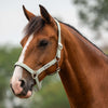 Velder Horsewear Essentials Licol Basic Padded Vert