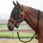 Velder Horsewear Essentials Ensemble Licol Basic Summer Noir