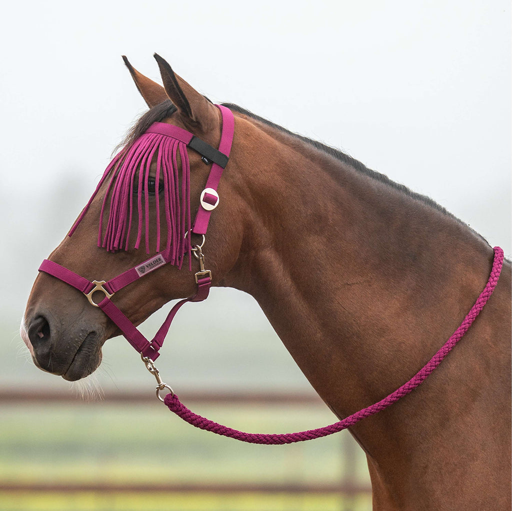 Velder Horsewear Essentials Ensemble Licol Basic Summer Boysenberry