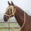 Velder Horsewear Essentials Ensemble Licol Basic Summer Healing Yellow