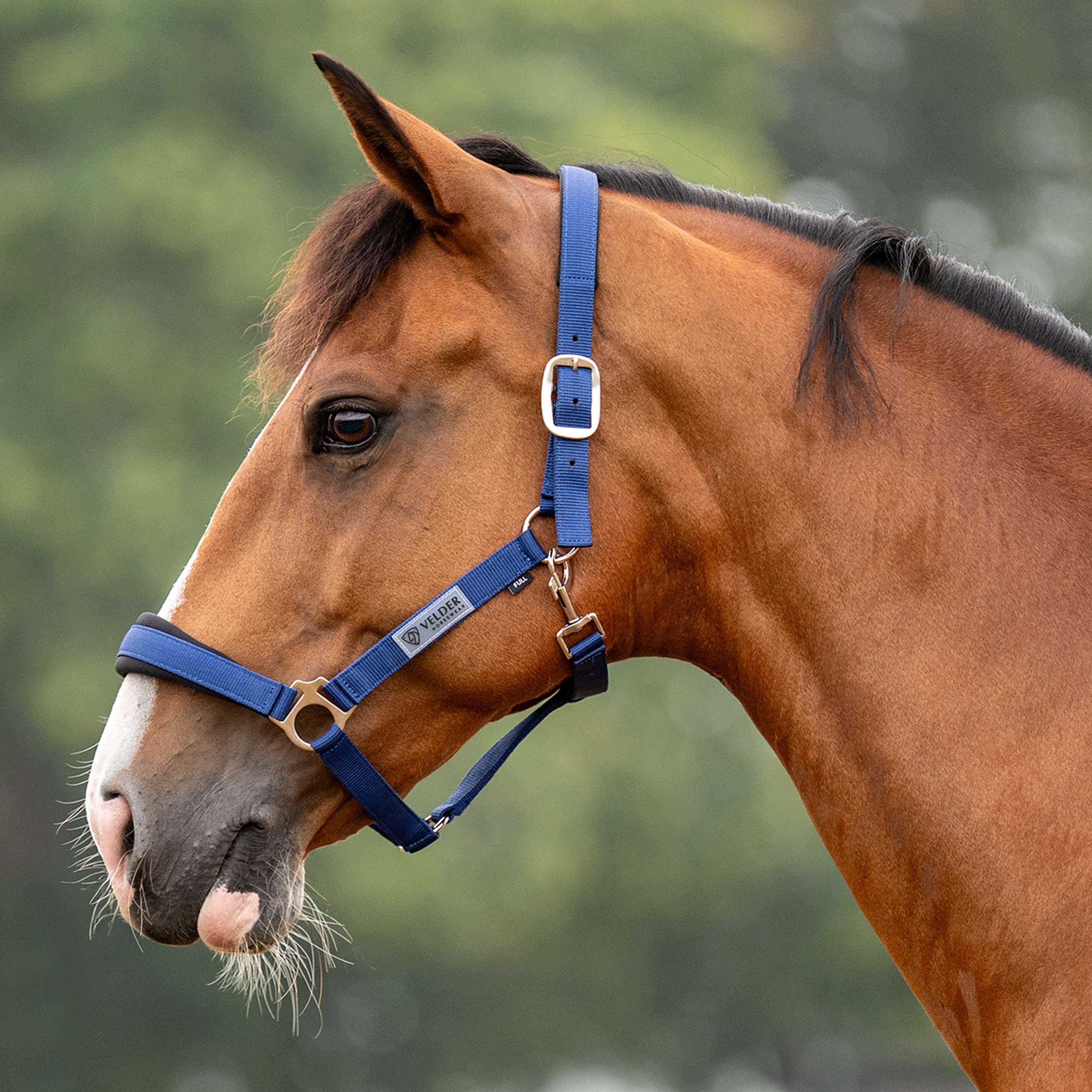 Velder Horsewear Essentials Licol Basic Comfort Marin
