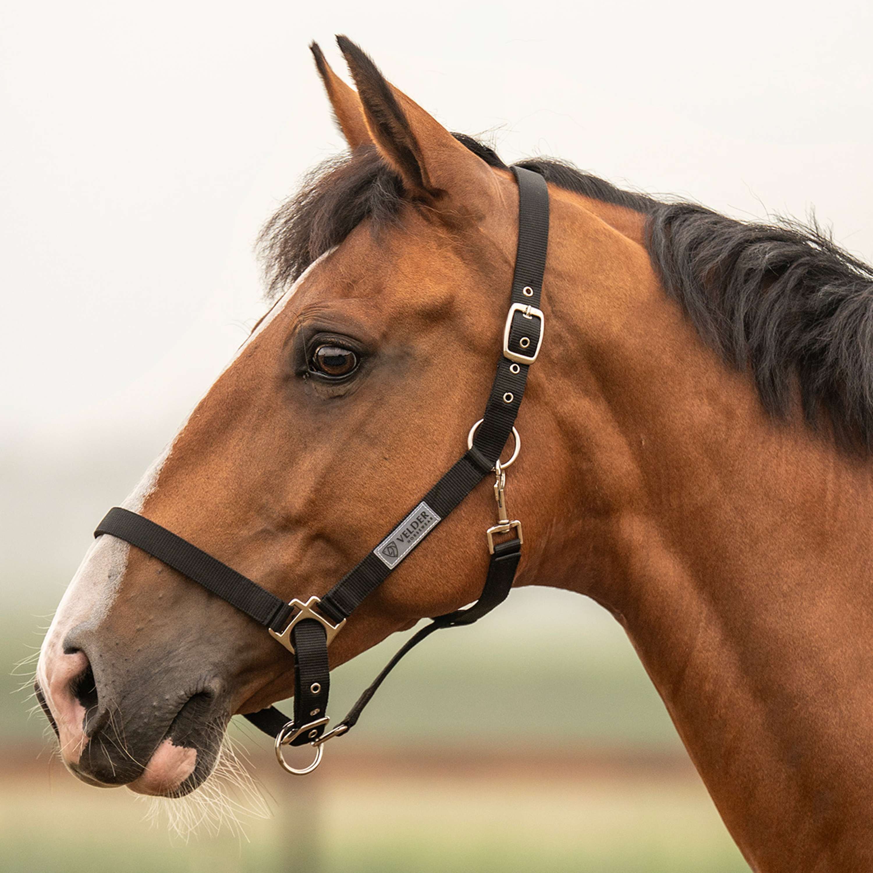 Velder Horsewear Essentials Licol Triple Adjustable Noir
