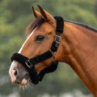 Velder Horsewear Premium Licol Comfort Fur Noir
