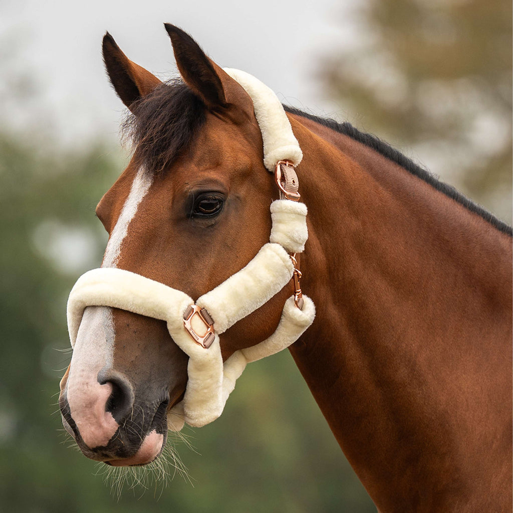 Velder Horsewear Premium Licol Comfort Fur Natural/Rosé