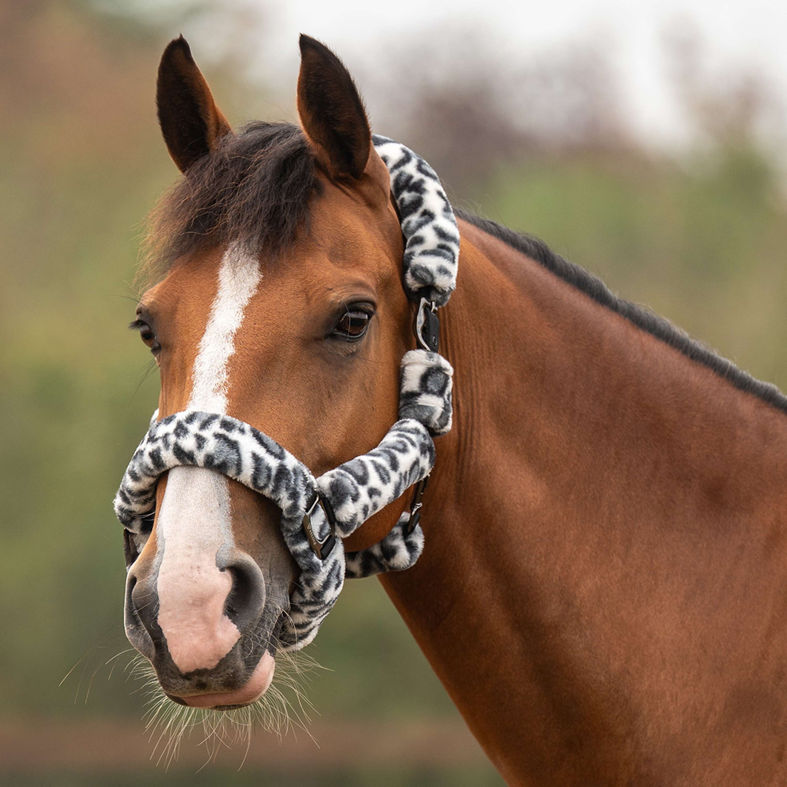 Velder Horsewear Premium Licol Comfort Fur Snow Leopard Gris