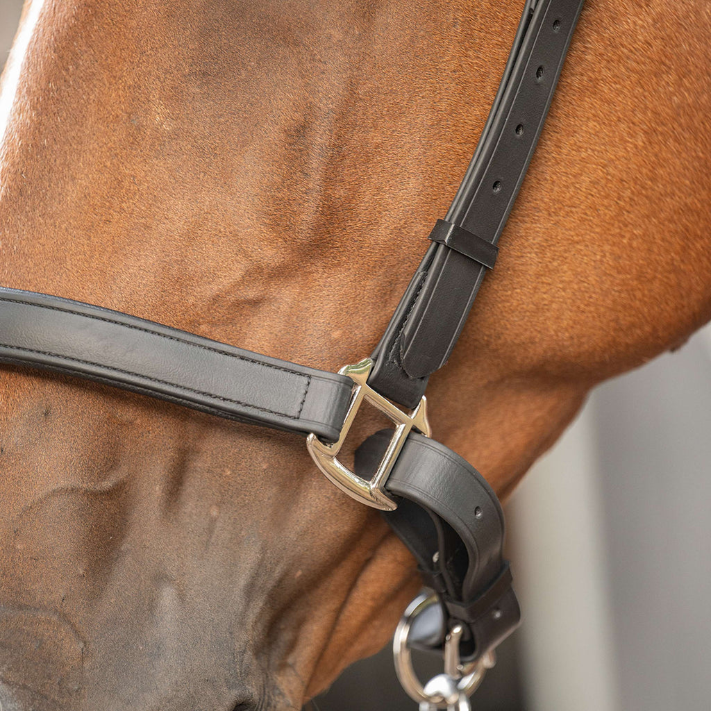 Velder Horsewear Premium Licol WashPro Noir