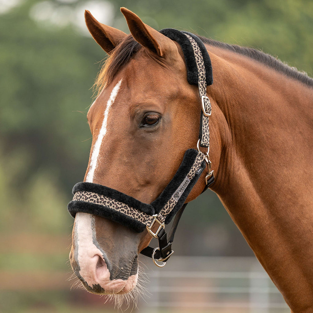 Velder Horsewear Essentials Licol Savanna Soft Earth Leopard