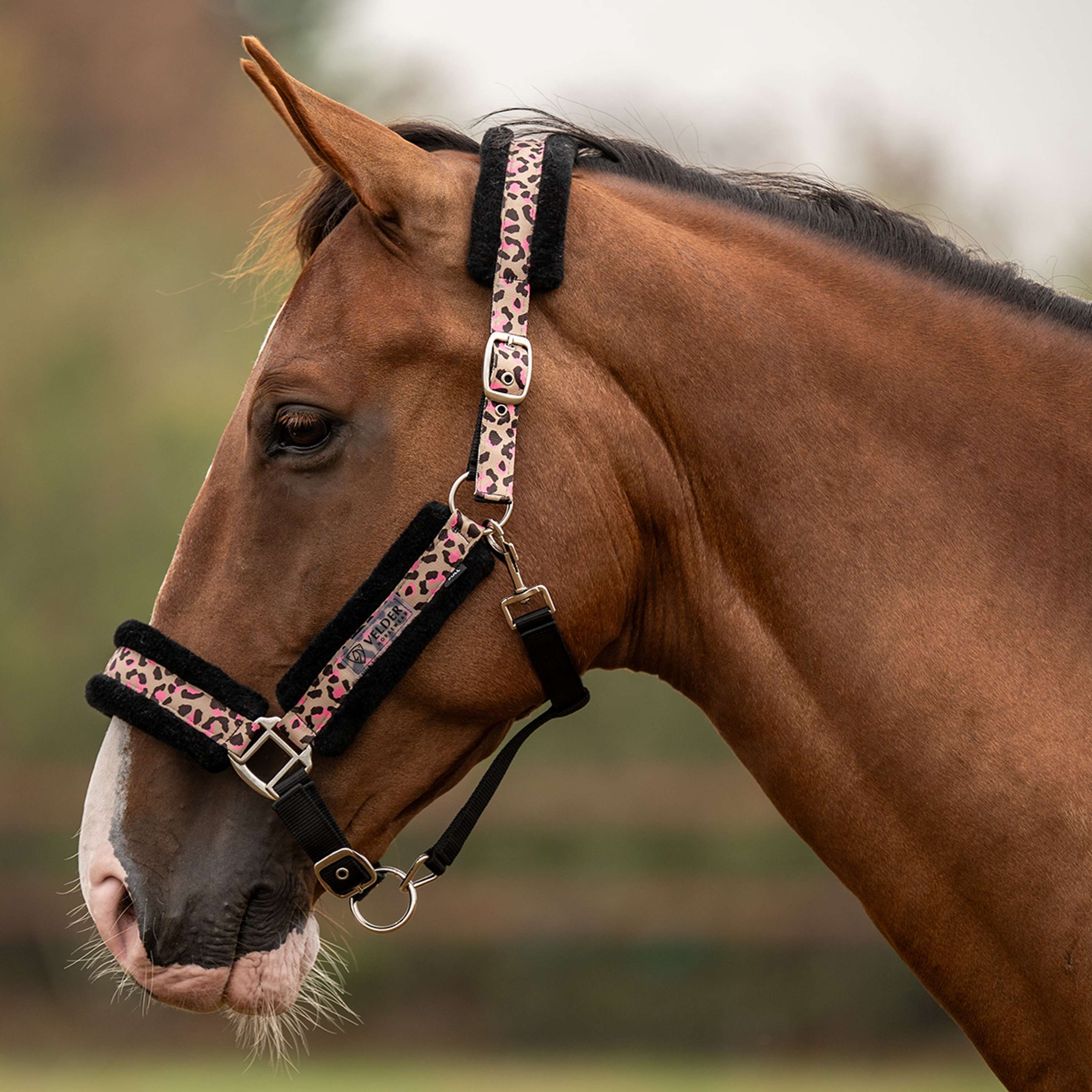 Velder Horsewear Essentials Licol Savanna Soft Sandstone Leopard