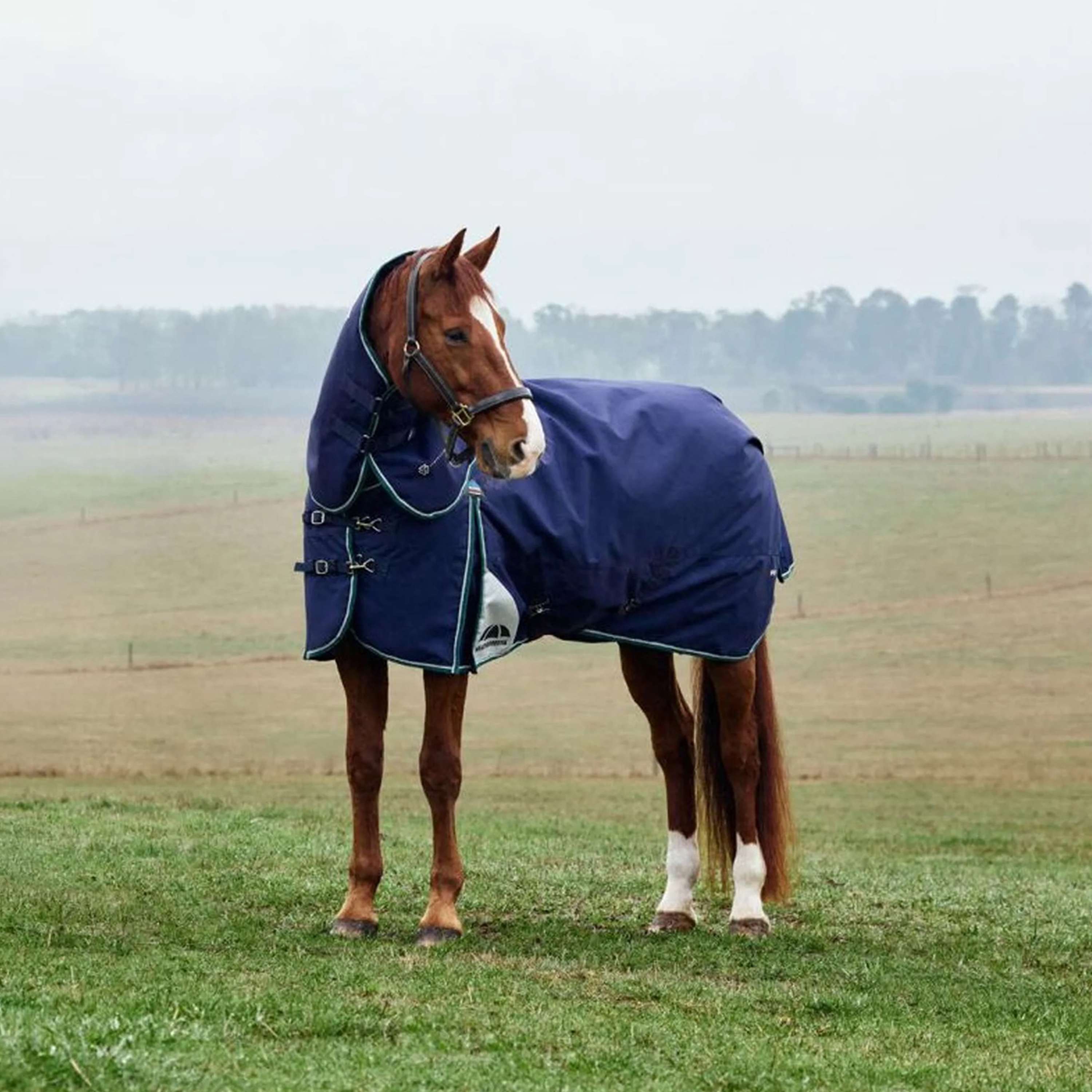 WeatherBeeta ComFiTec Plus Dynamic Turnout Detach-A-Neck 220g Navy/Forest Green