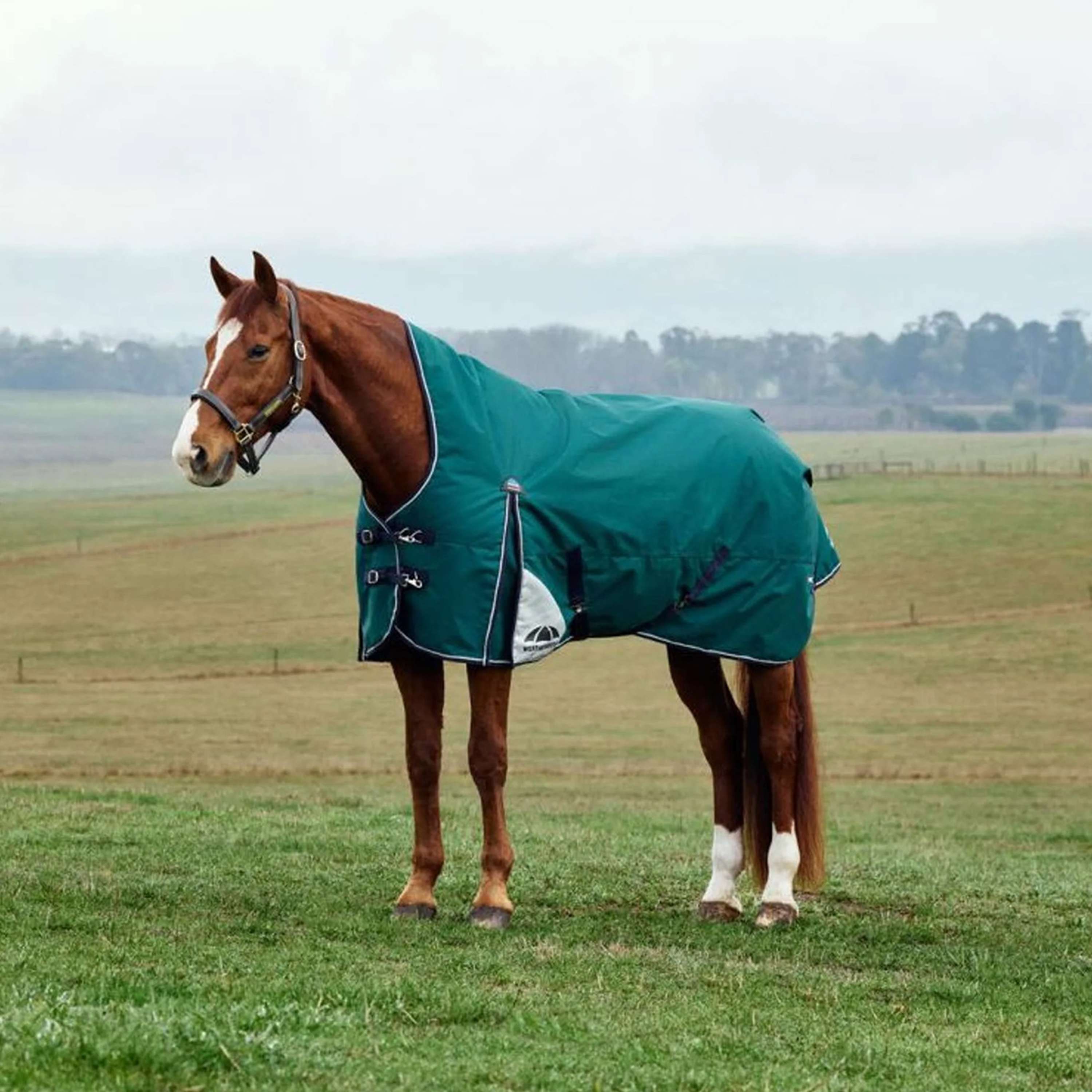 WeatherBeeta ComFiTec Plus Dynamic Turnout High Neck 220g Forest Green/Navy