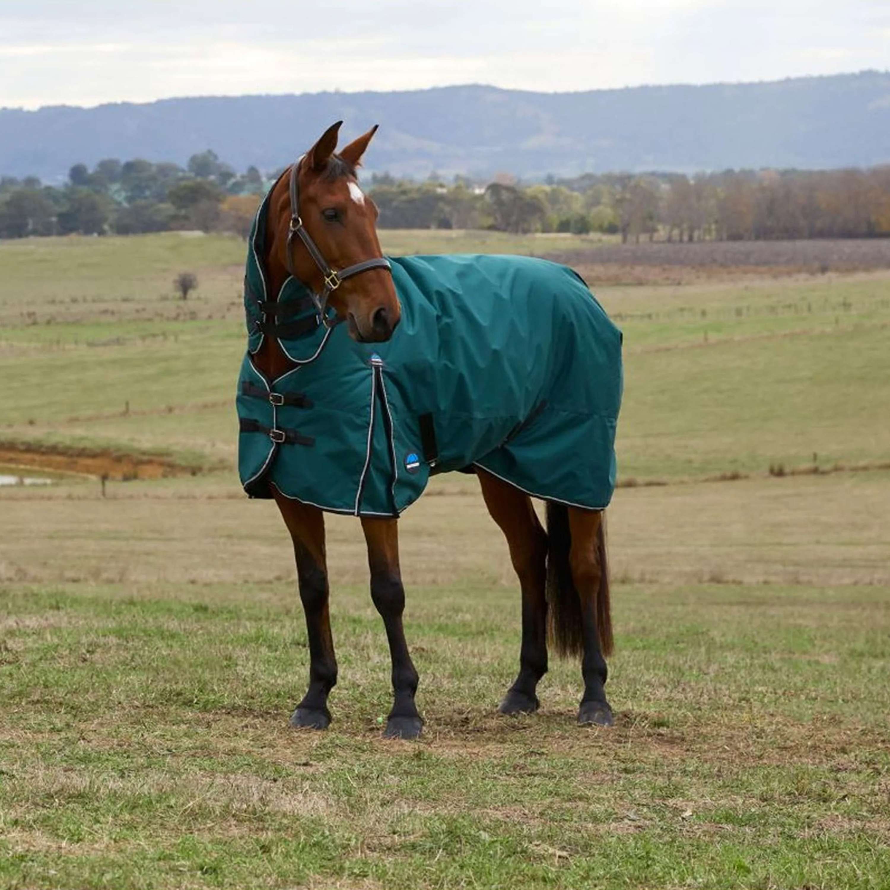 WeatherBeeta ComFiTec Classic Turnout Combo 50g Forest Green/Black