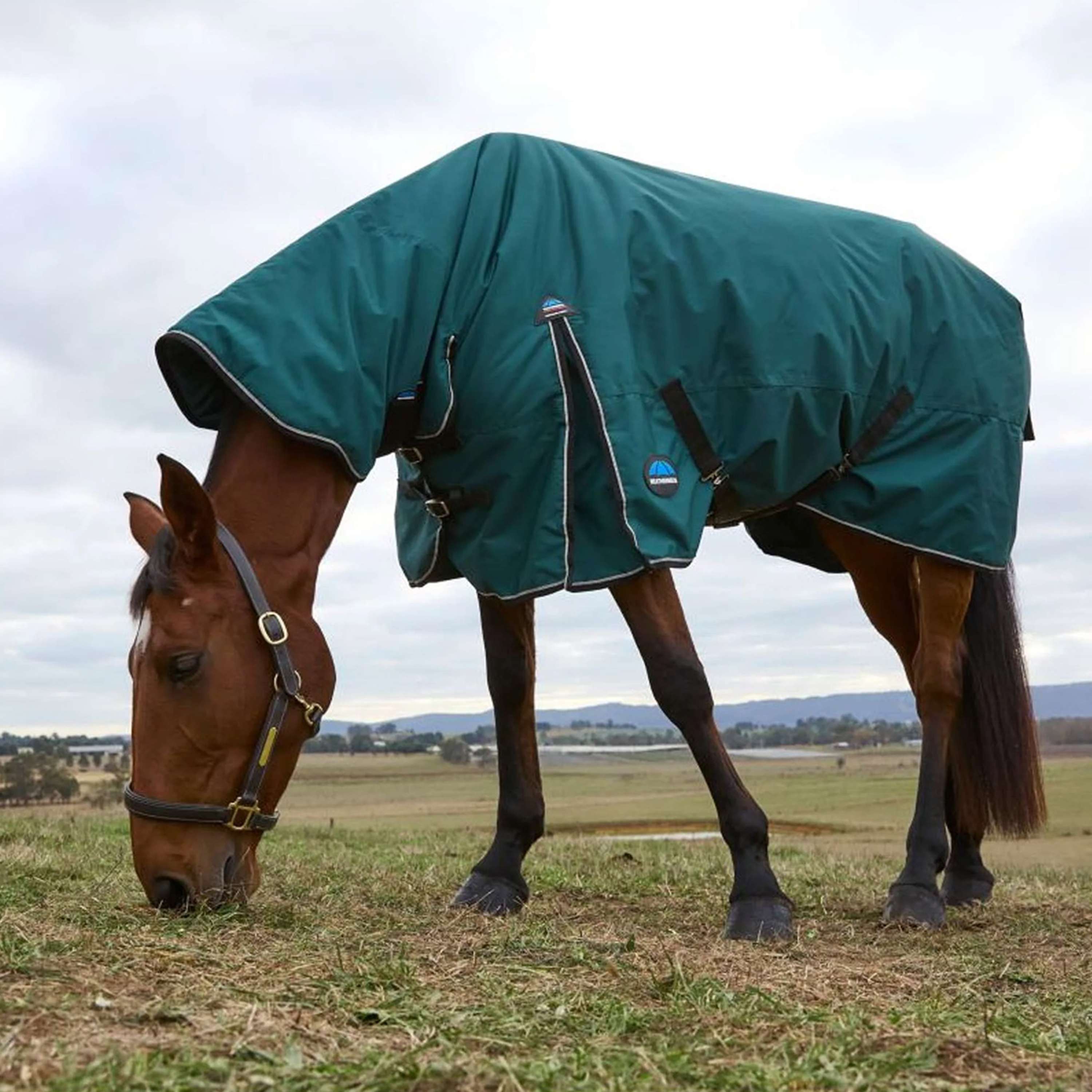 WeatherBeeta ComFiTec Classic Turnout Combo 50g Forest Green/Black