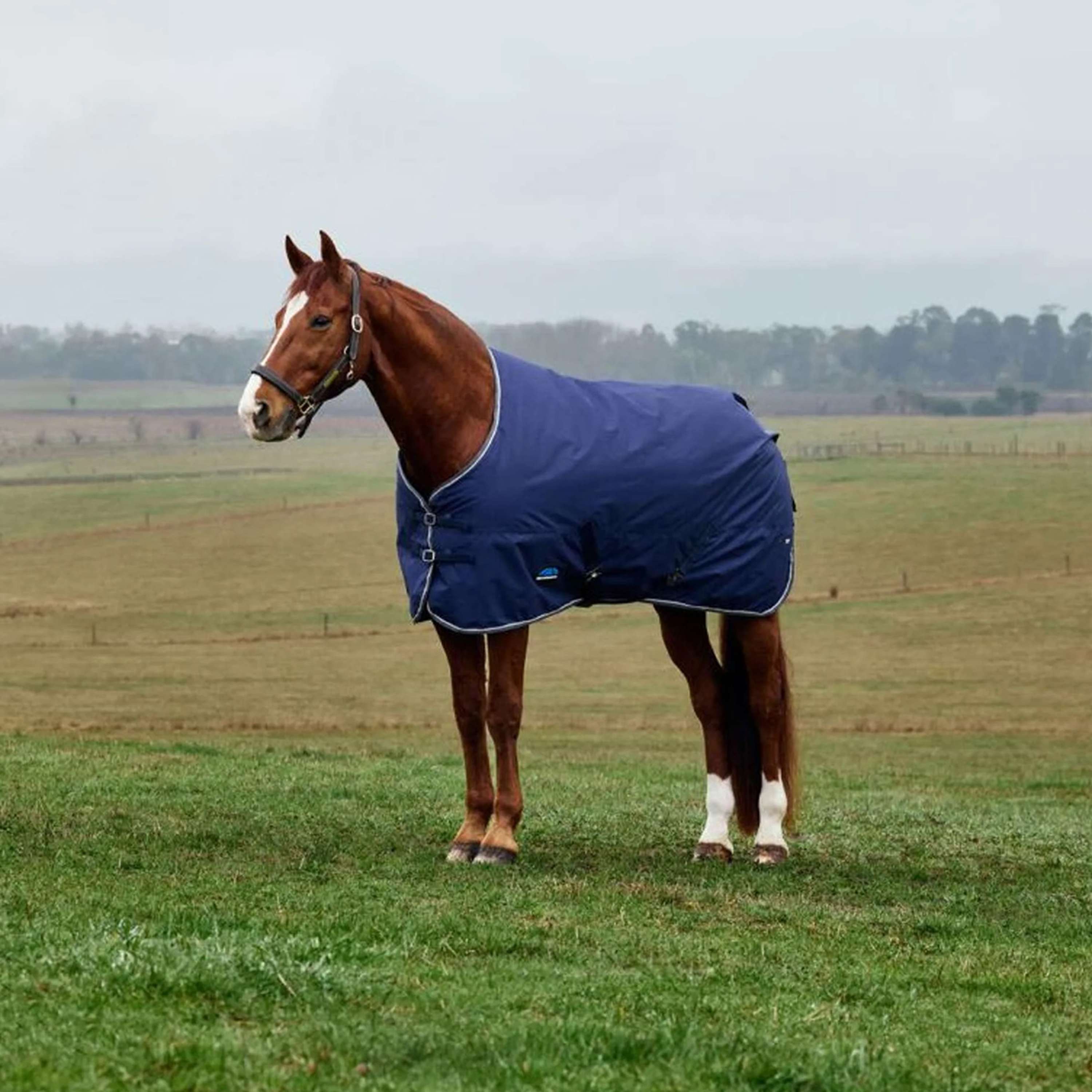 WeatherBeeta ComFiTec Tyro Turnout Standard Neck 50g Navy/Charcoal