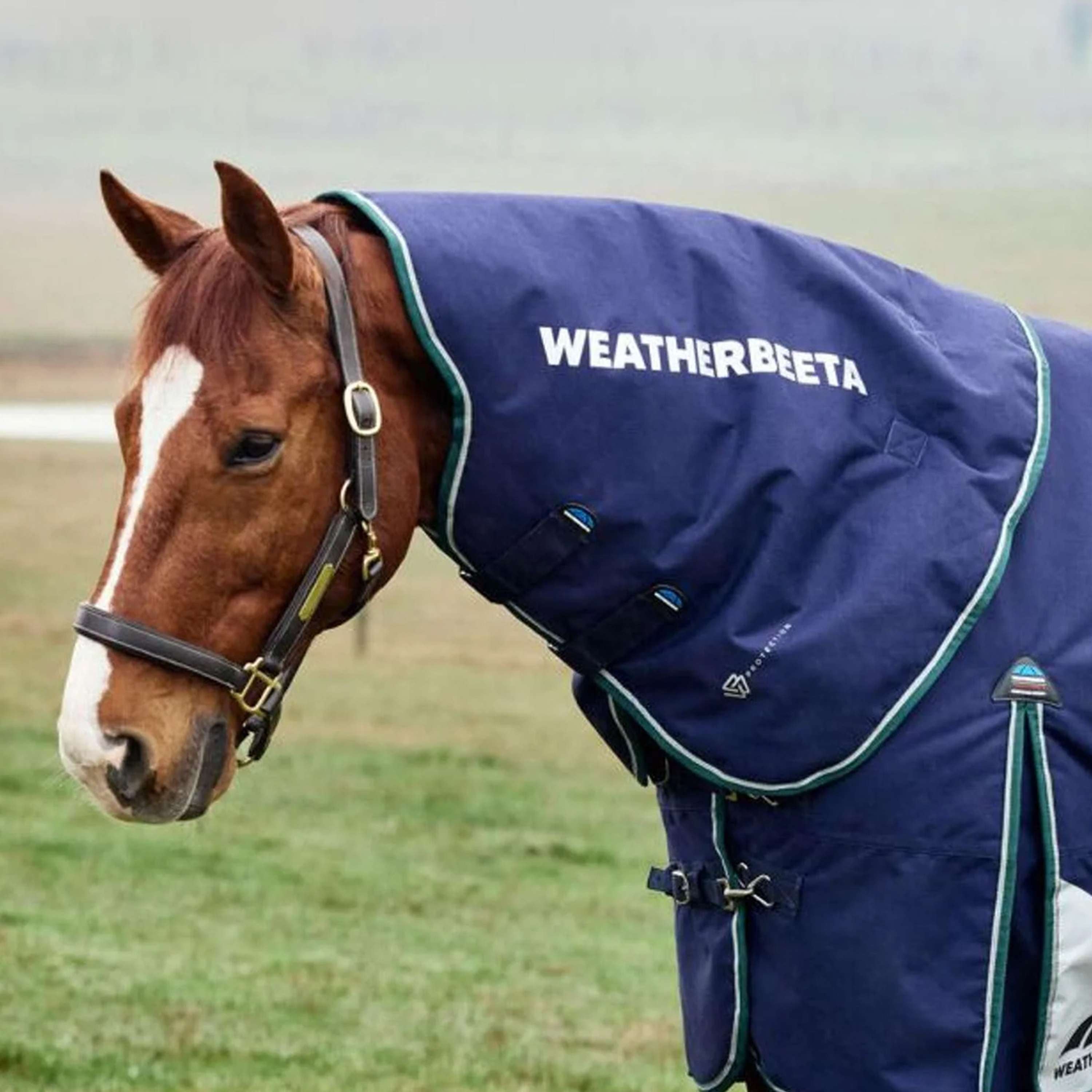 WeatherBeeta Couvre-Cou ComFiTec Plus Dynamic Turnout 0g Navy/Forest Green