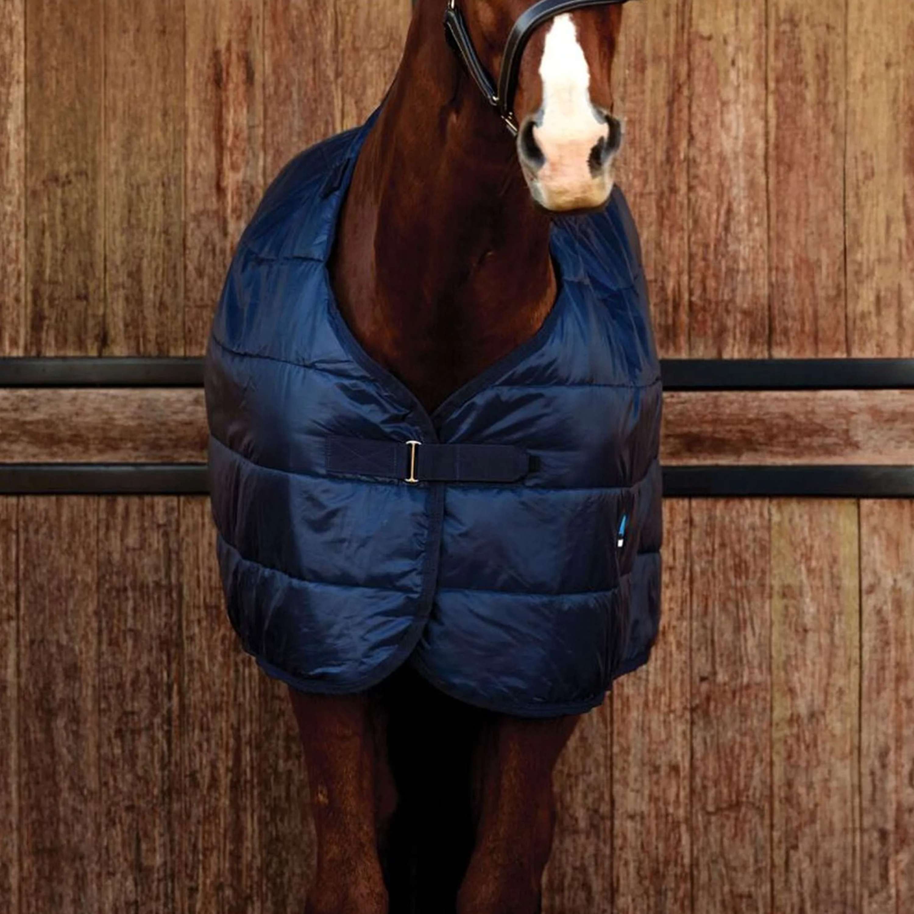 WeatherBeeta Couverture ComFiTec 100g Marin