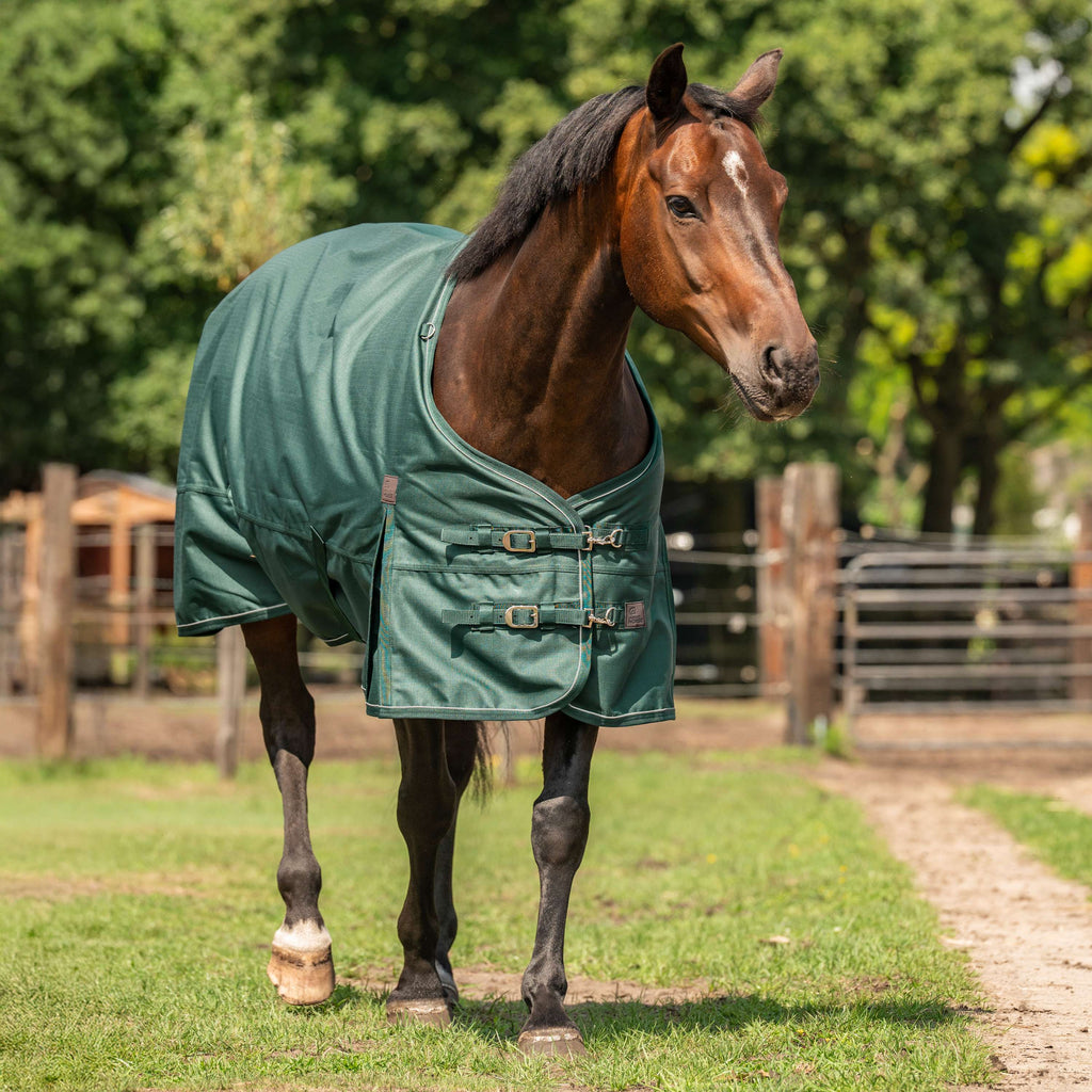 Agradi Horse Couverture d'Extérieur 1200D 0gr Bande Réfléchissante Vert