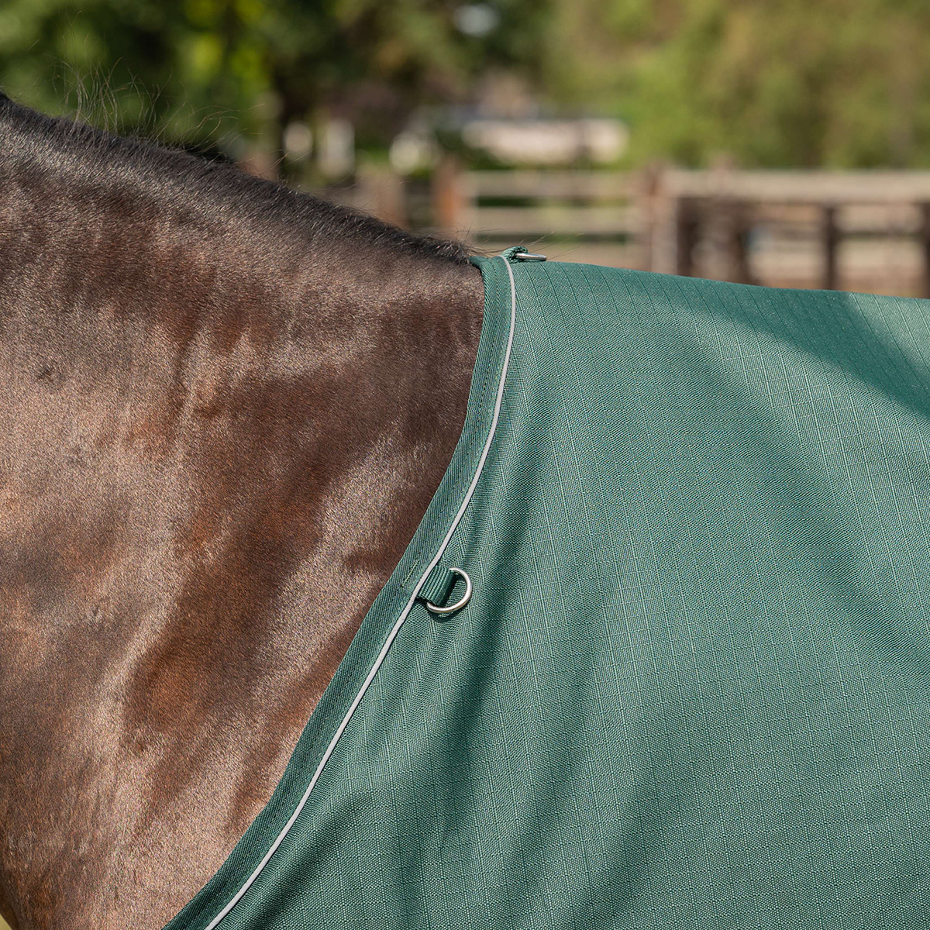 Agradi Horse Couverture d'Extérieur 1200D 50gr Bande Réfléchissante Vert