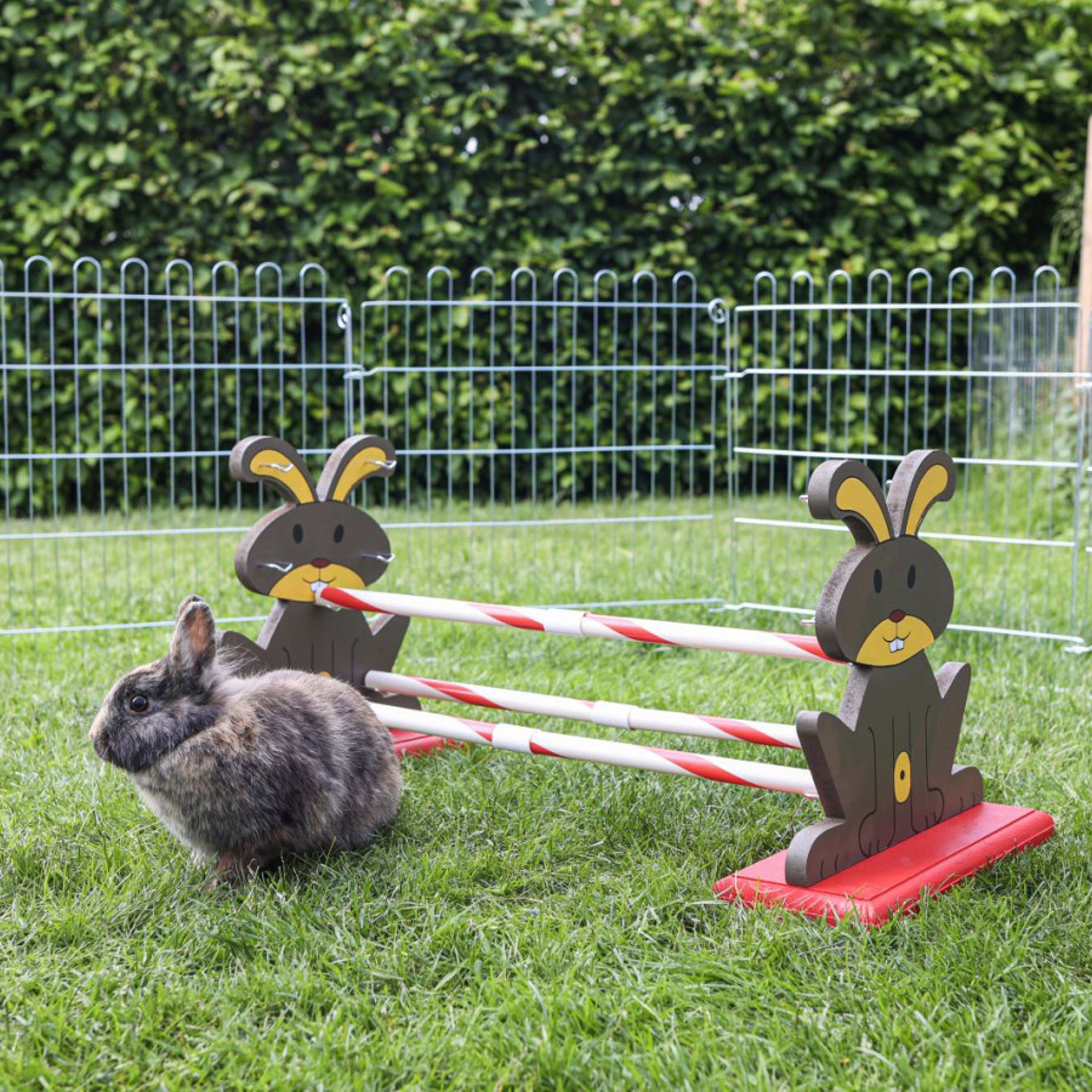 Kerbl Obstacle pour rongeur Agility